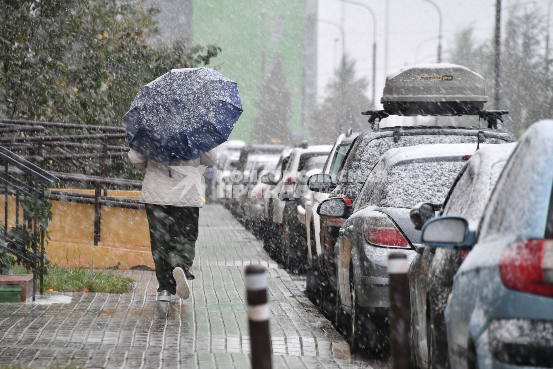 В Москве выпал первый снег