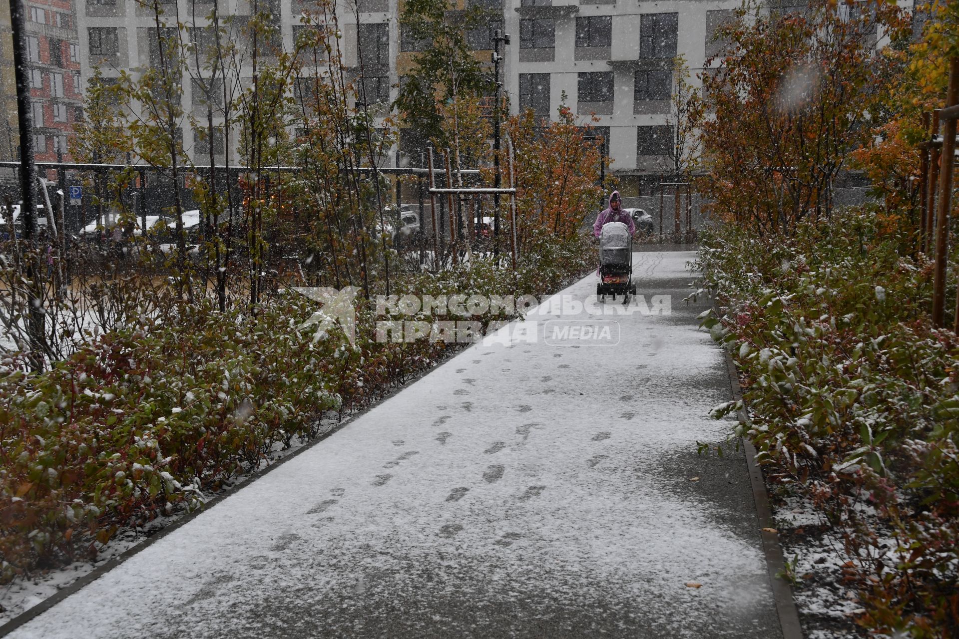 В Москве выпал первый снег