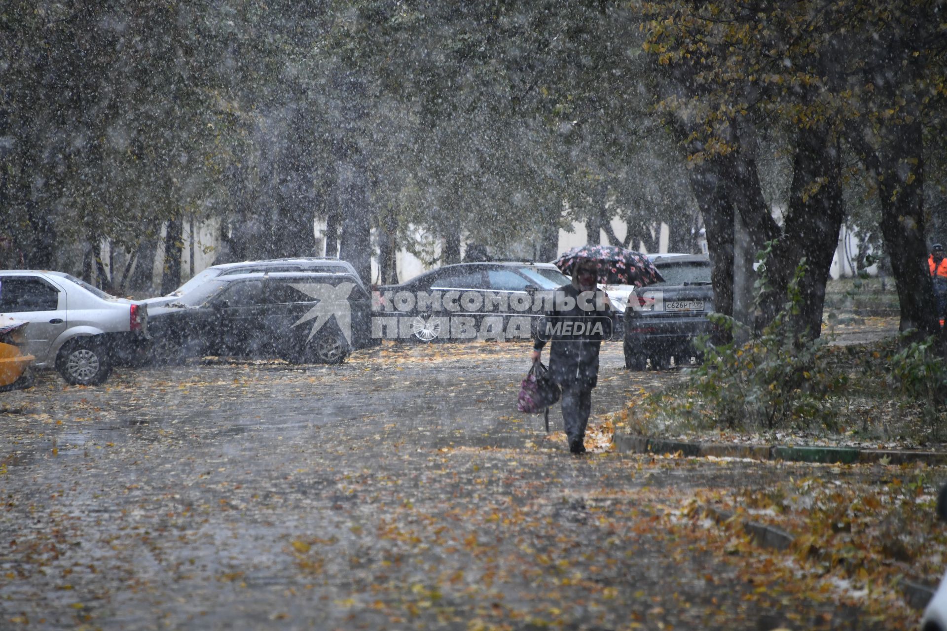 Первый снег в Москве