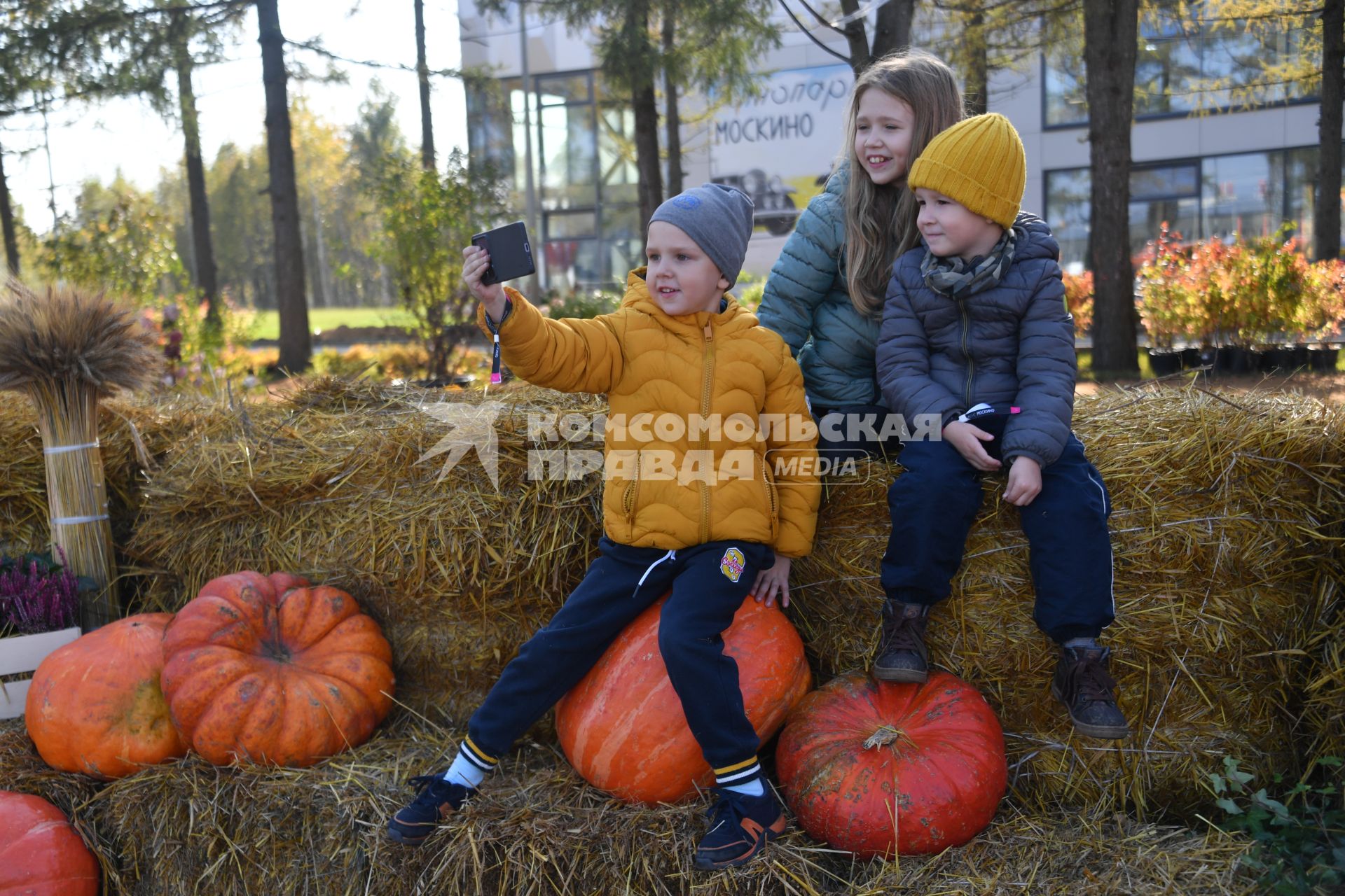 Фестиваль Золотая осень\" в Москинопарке