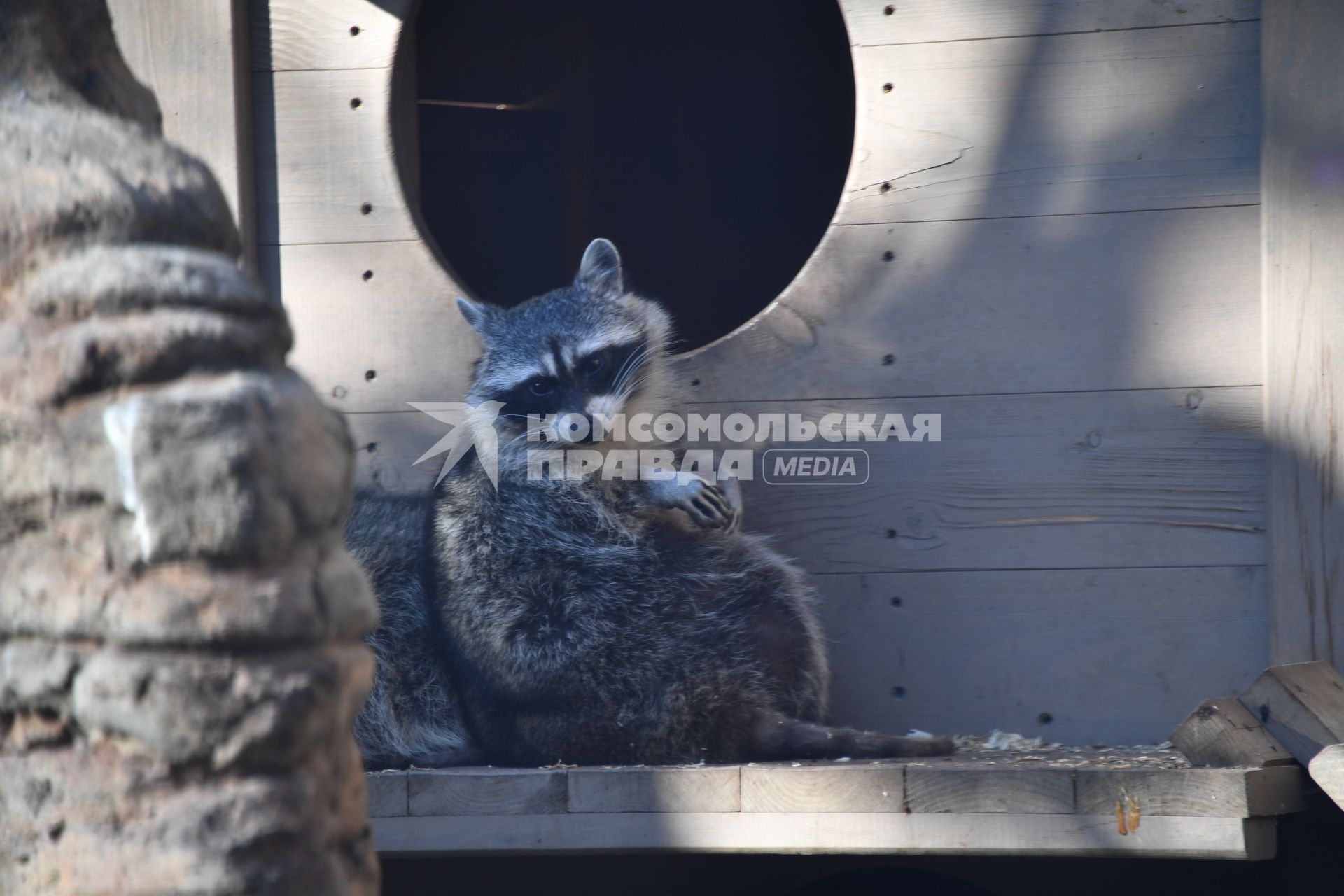 Московский Зоопарк