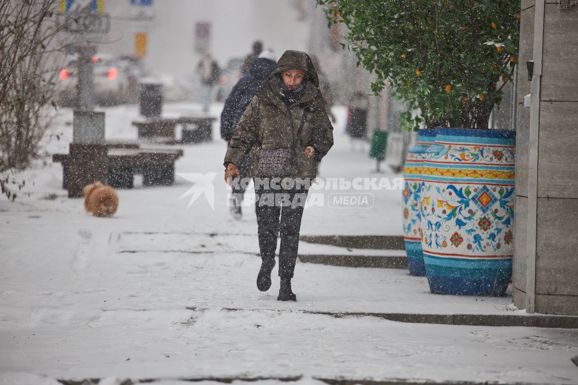 Зима в городе