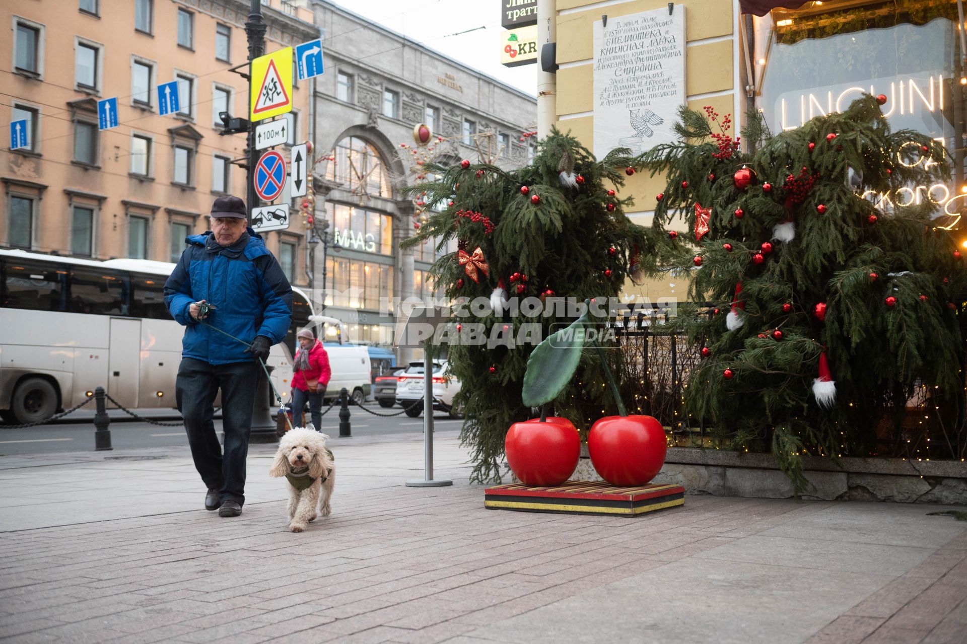 Новогодние украшения Санкт-Петербурга