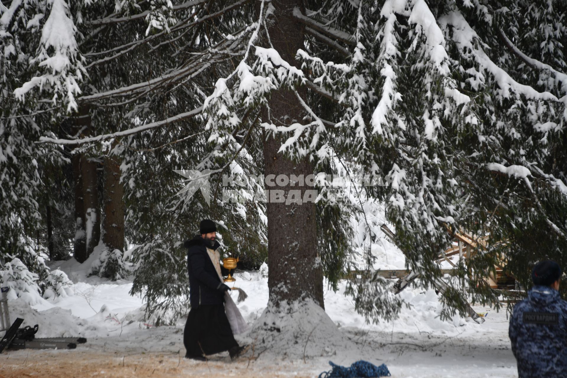 Церемония спила главной новогодней ели в Подмосковье