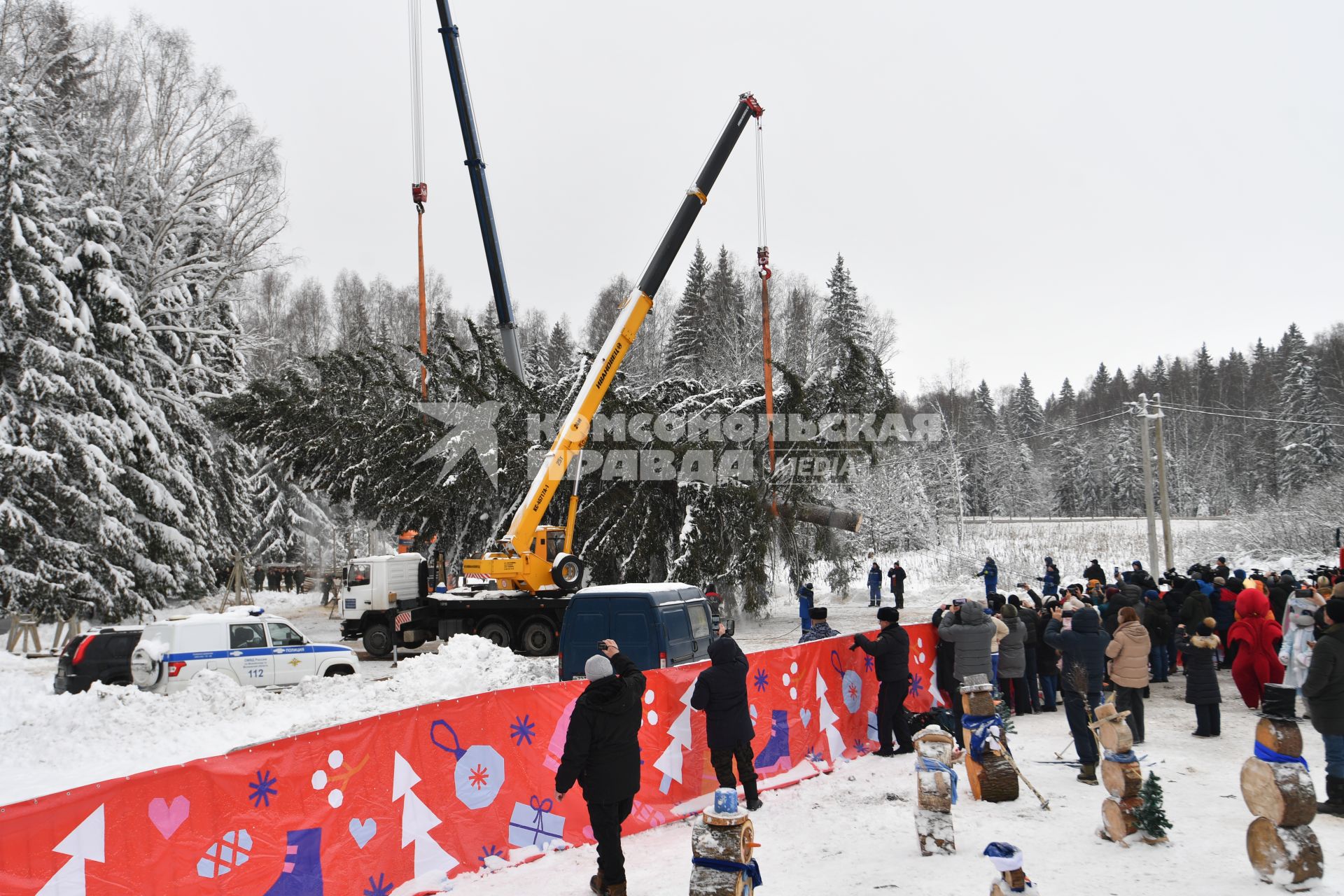 Церемония спила главной новогодней ели в Подмосковье