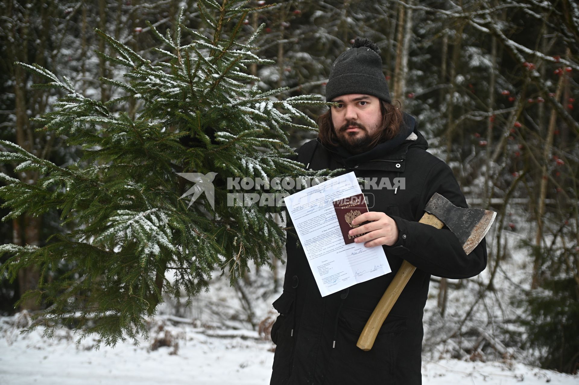 Заготовка новогодней ели