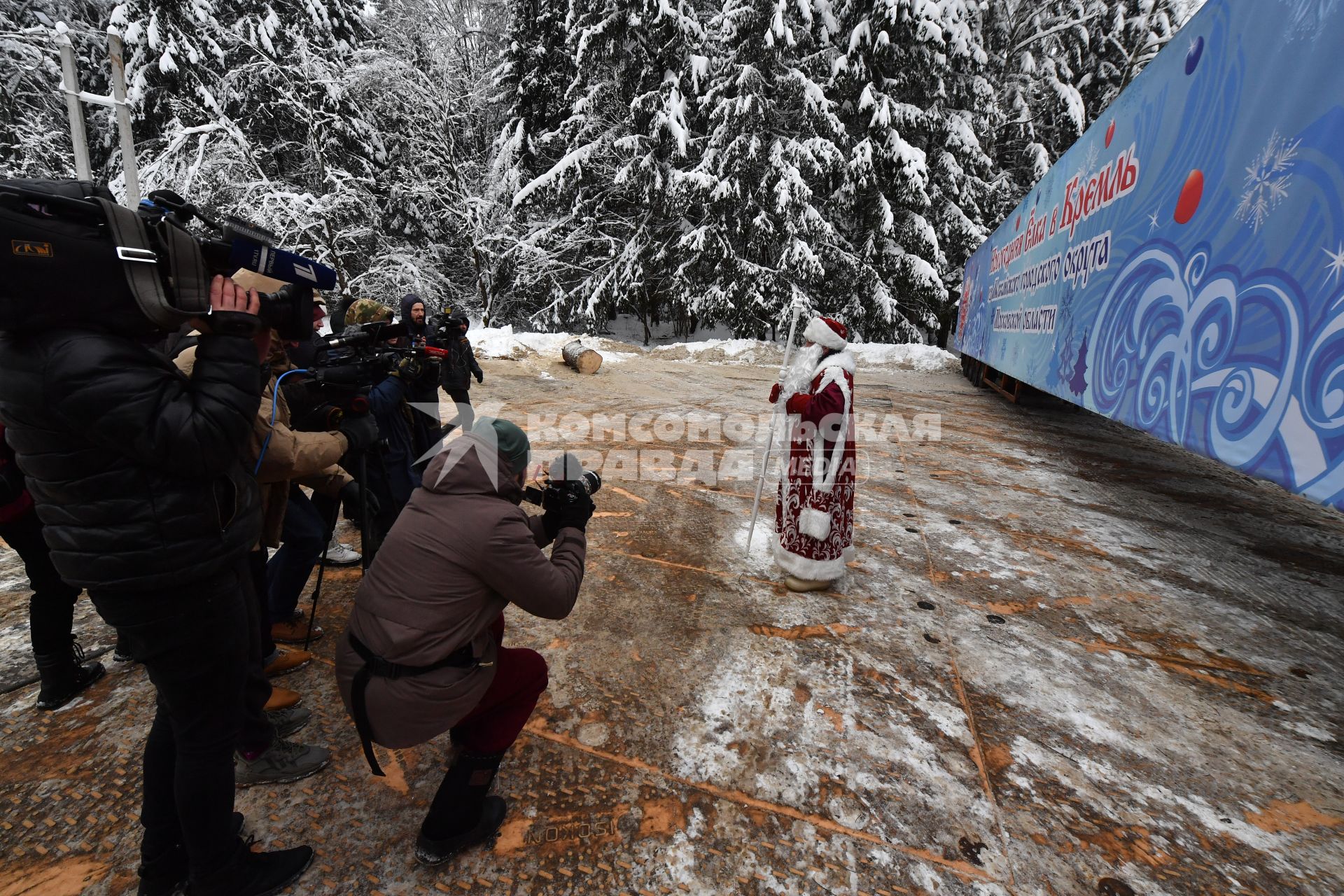 Отправка главной новогодней елки в Кремль