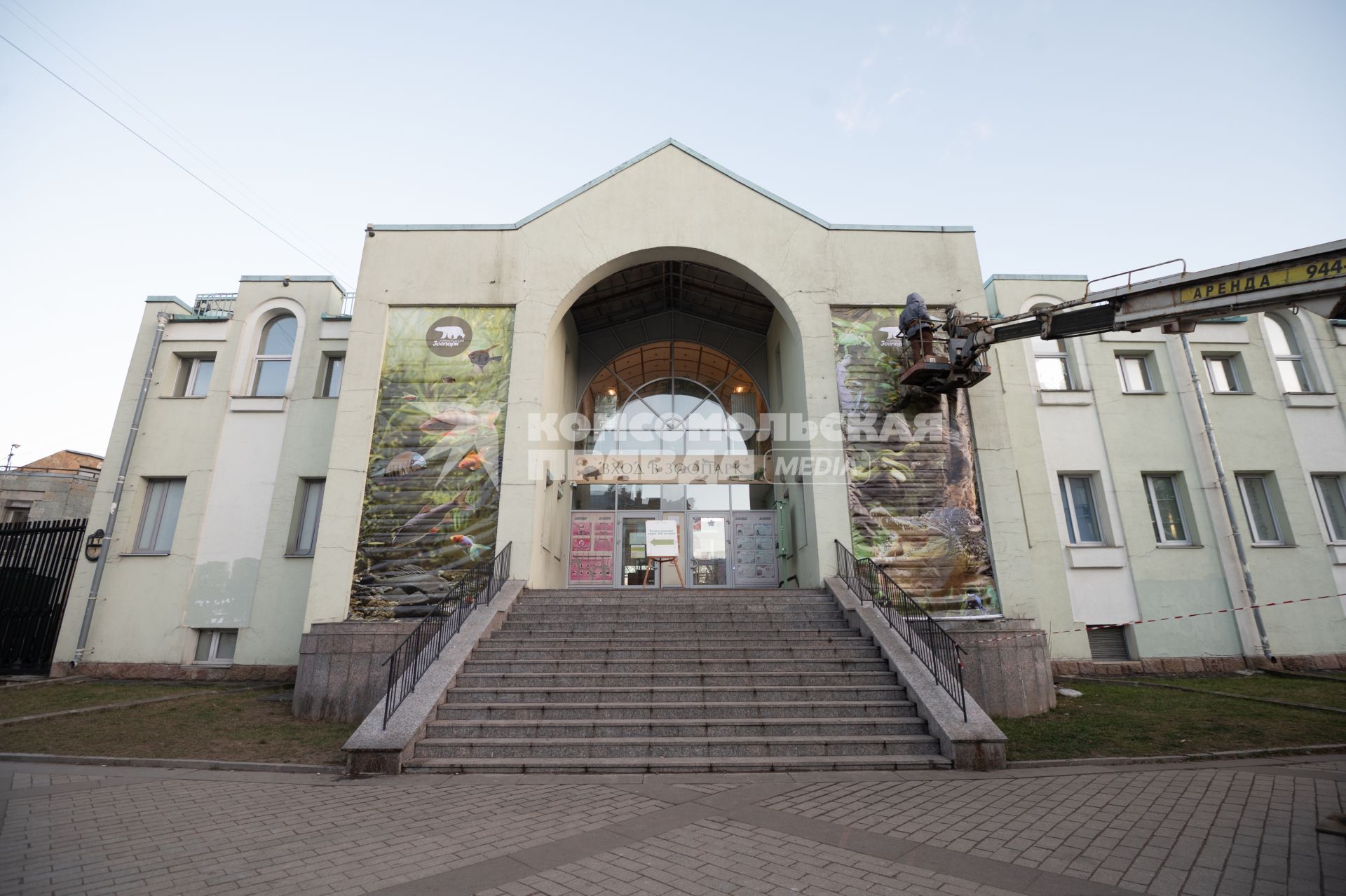 Животные зоопарка в Санкт- Петербурге