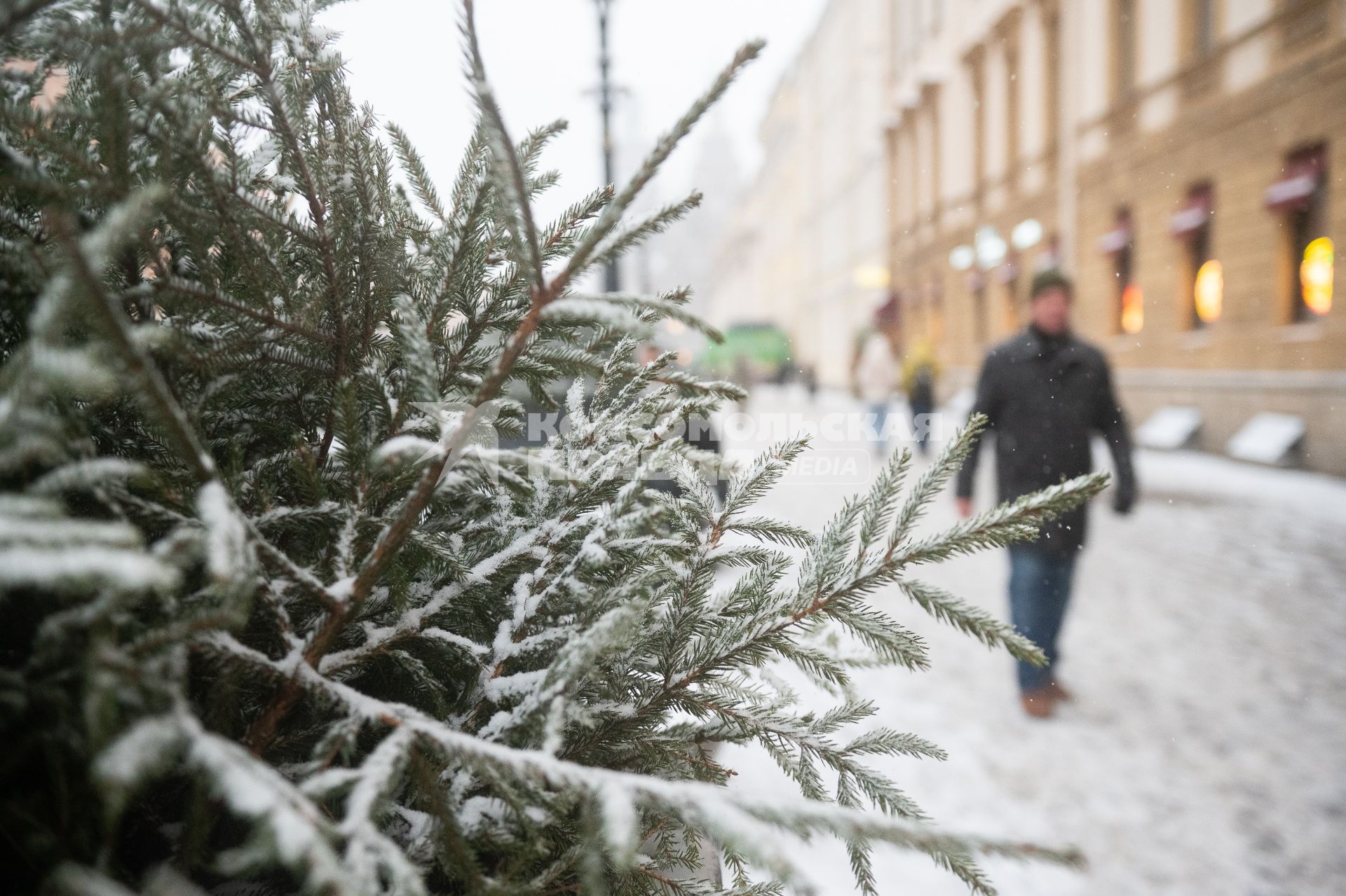 Последствия снегопада в Санкт-Петербурге