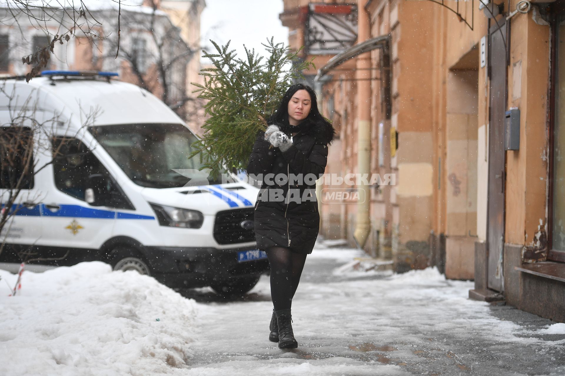 Девушка выбрасывает живую новогоднюю елку