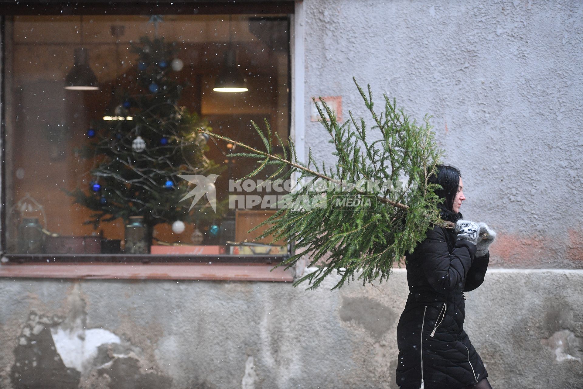 Девушка выбрасывает живую новогоднюю елку