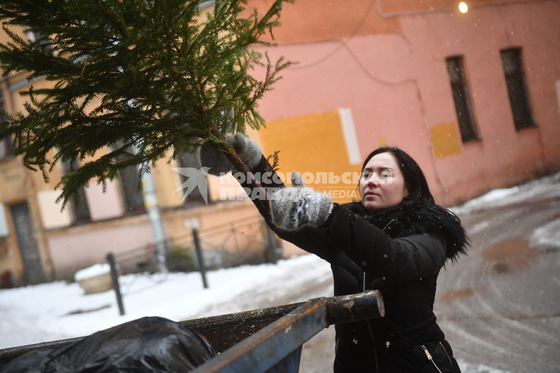 Девушка выбрасывает живую новогоднюю елку