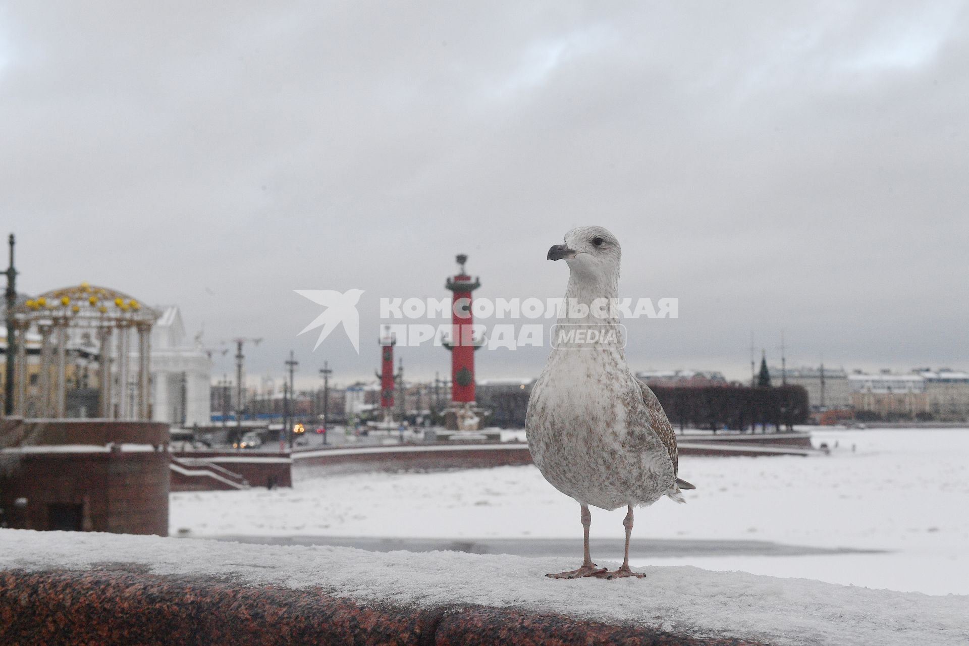 Зима в Санкт-Петербурге