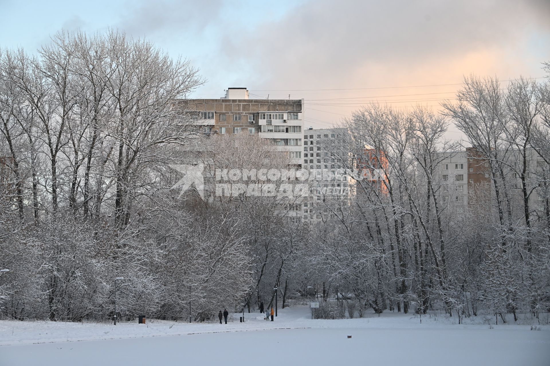 Зимняя прогулка в парке