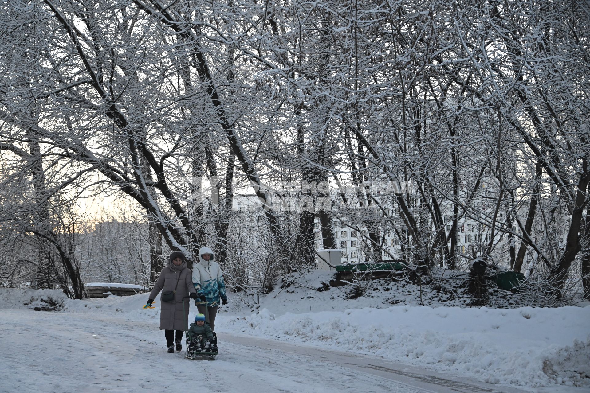 Зимняя прогулка в парке