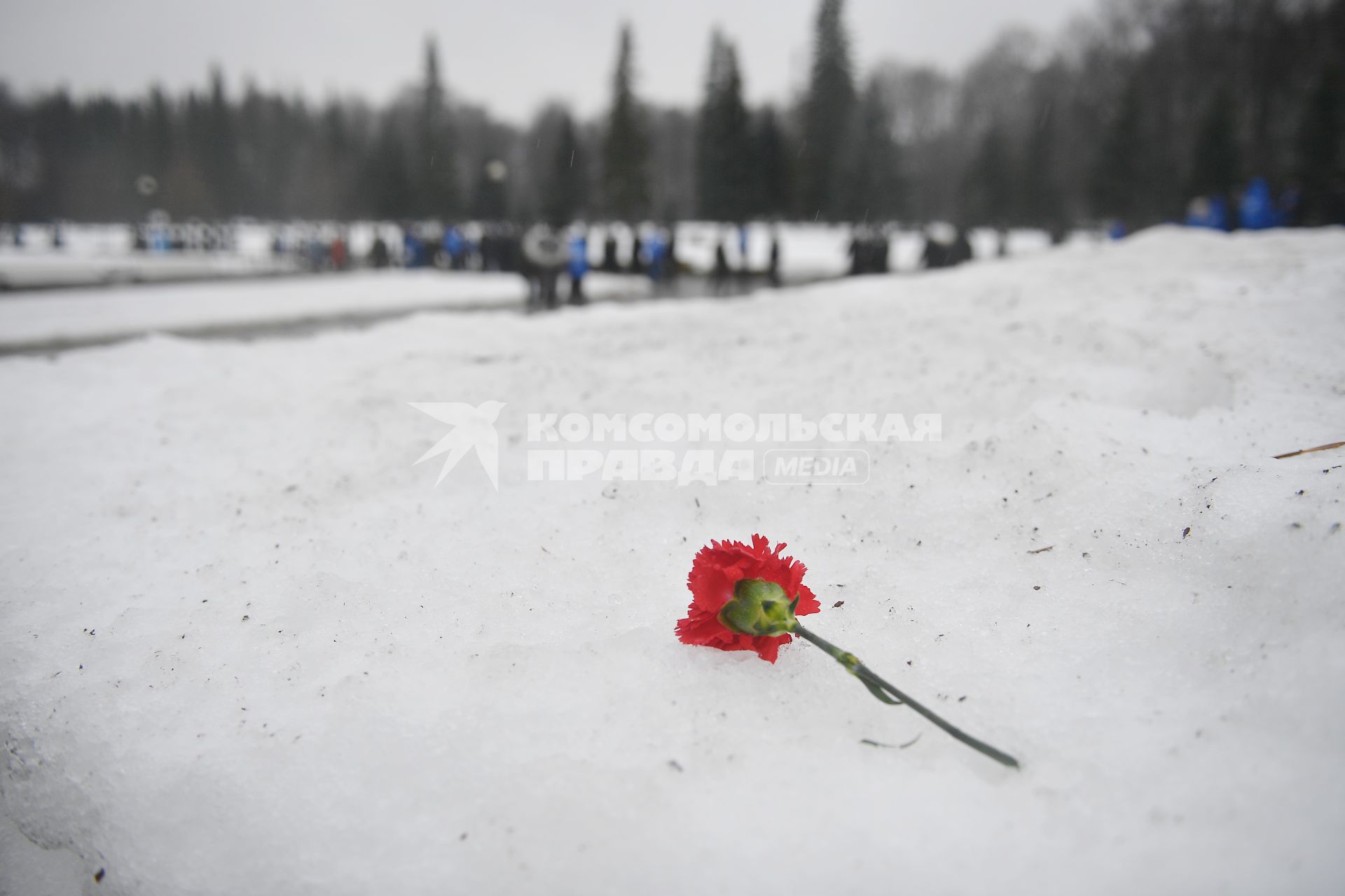 Празднование 81-й годовщины снятия блокады Ленинграда