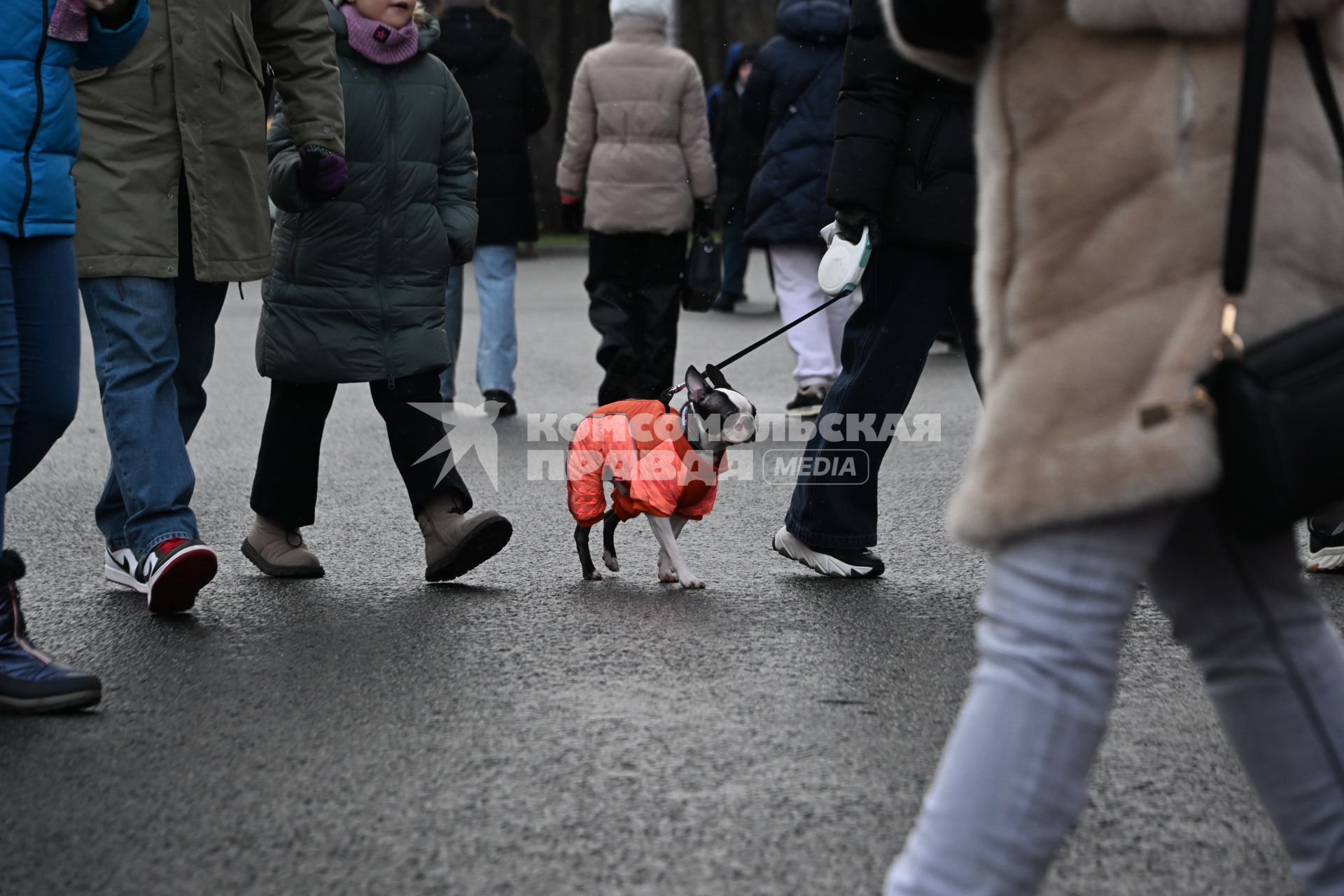 Праздник Зимний день московского спорта\" в Лужниках