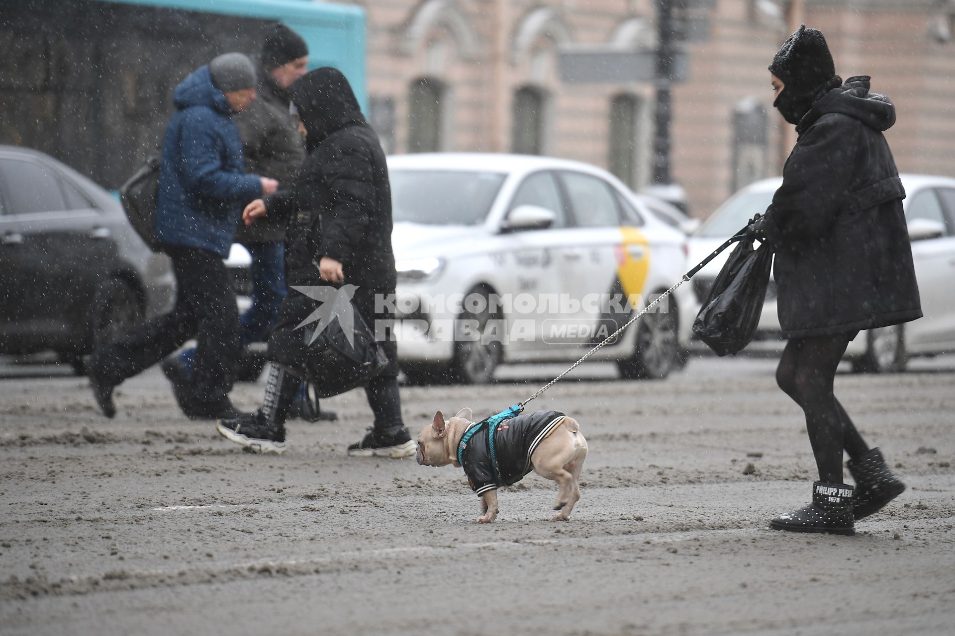 Зима вернулась в Петербург