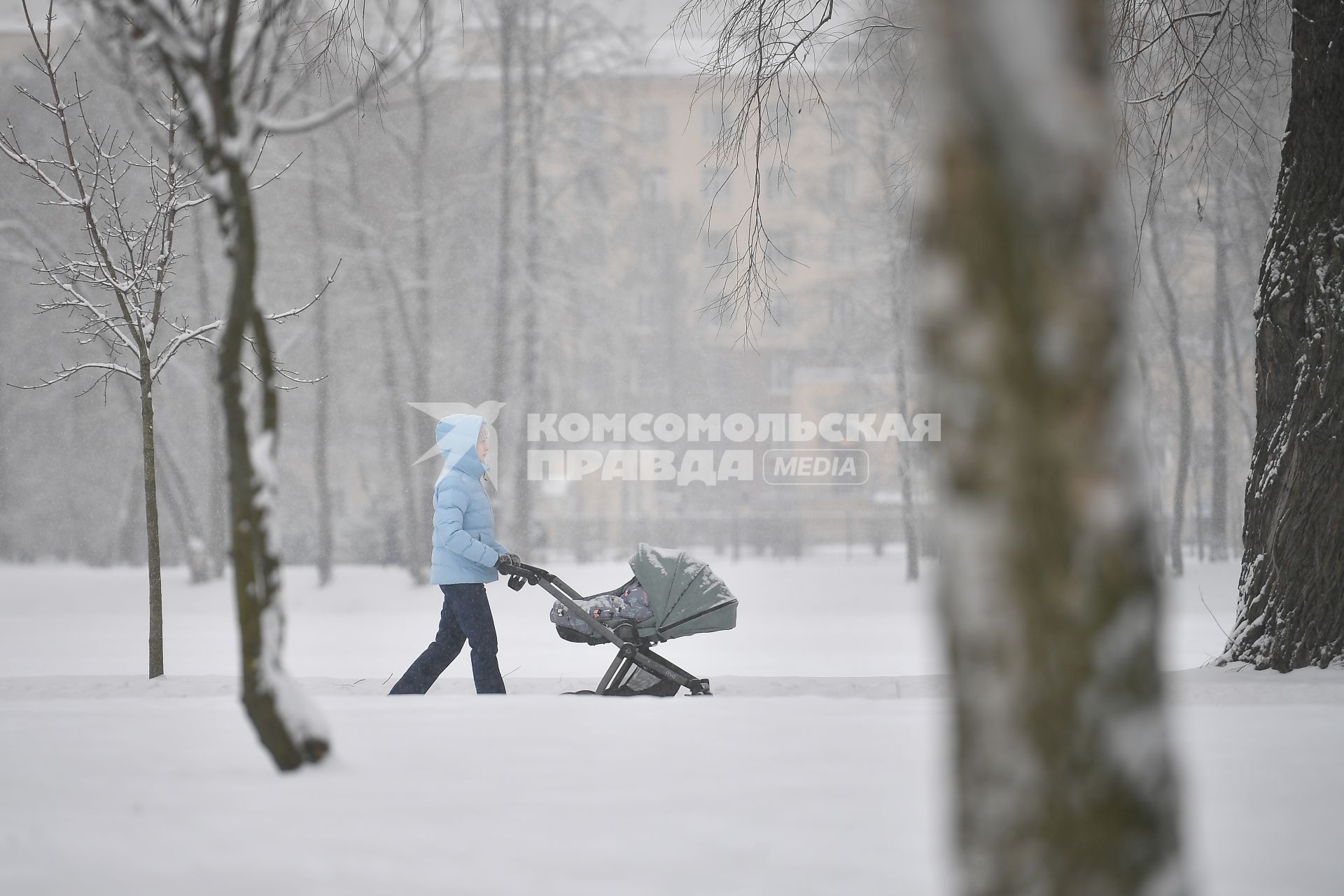 Зима вернулась в Петербург