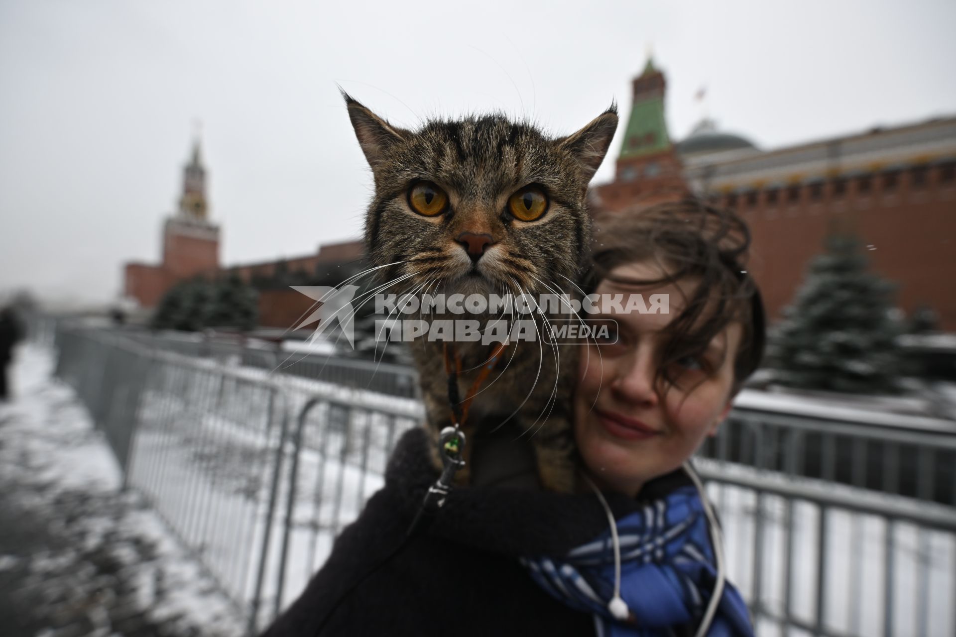 Снег в Москве