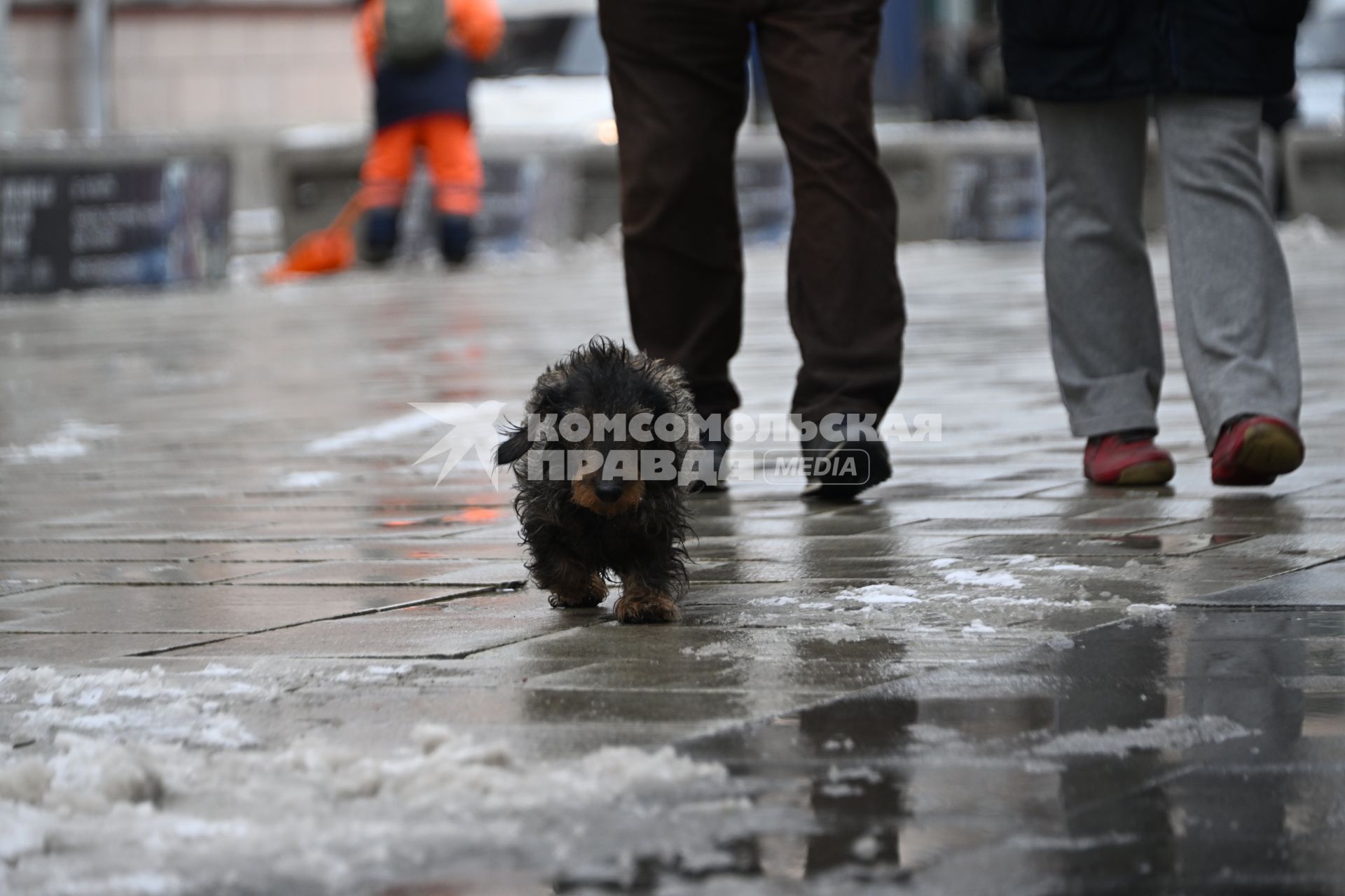 В Москве выпал снег