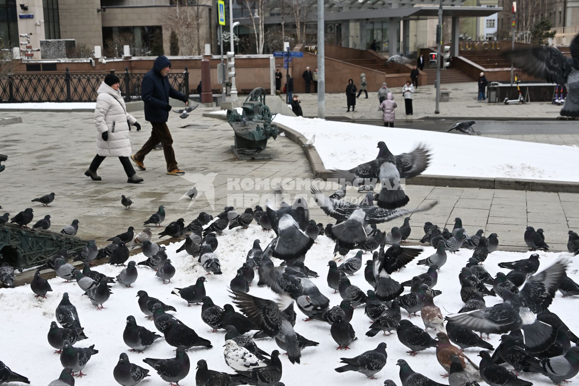 В Москве выпал снег