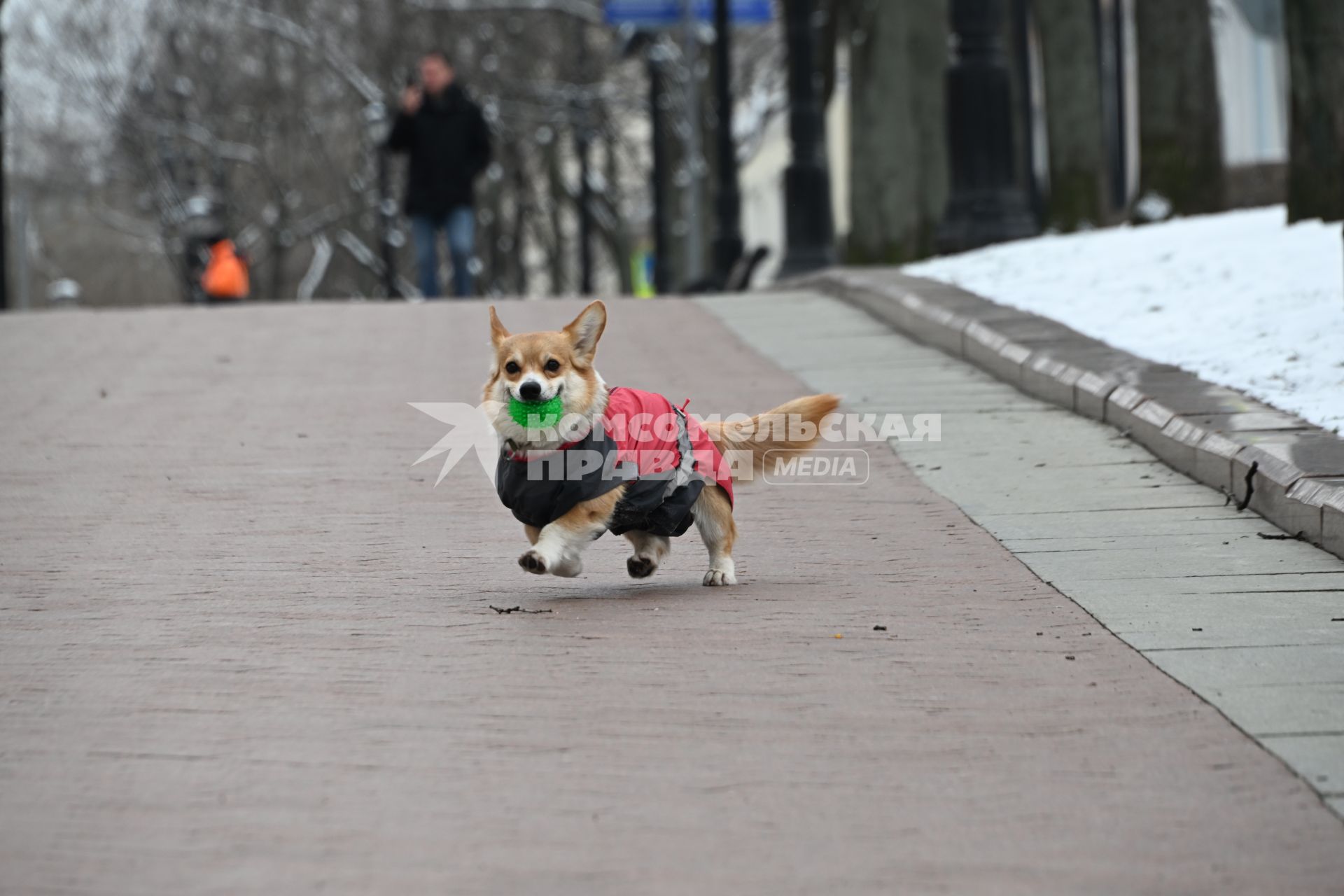 В Москве выпал снег