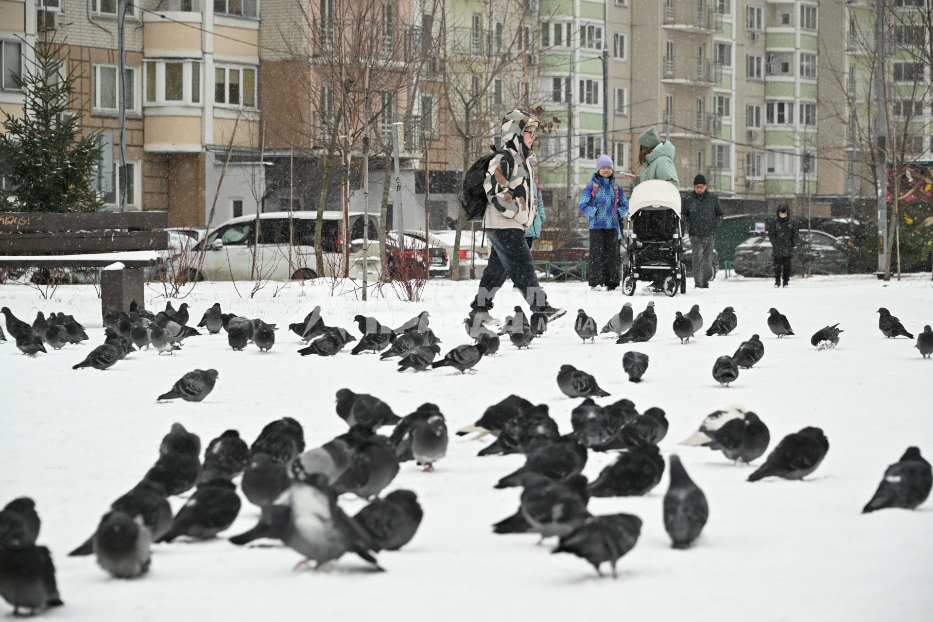 В Москве выпал снег