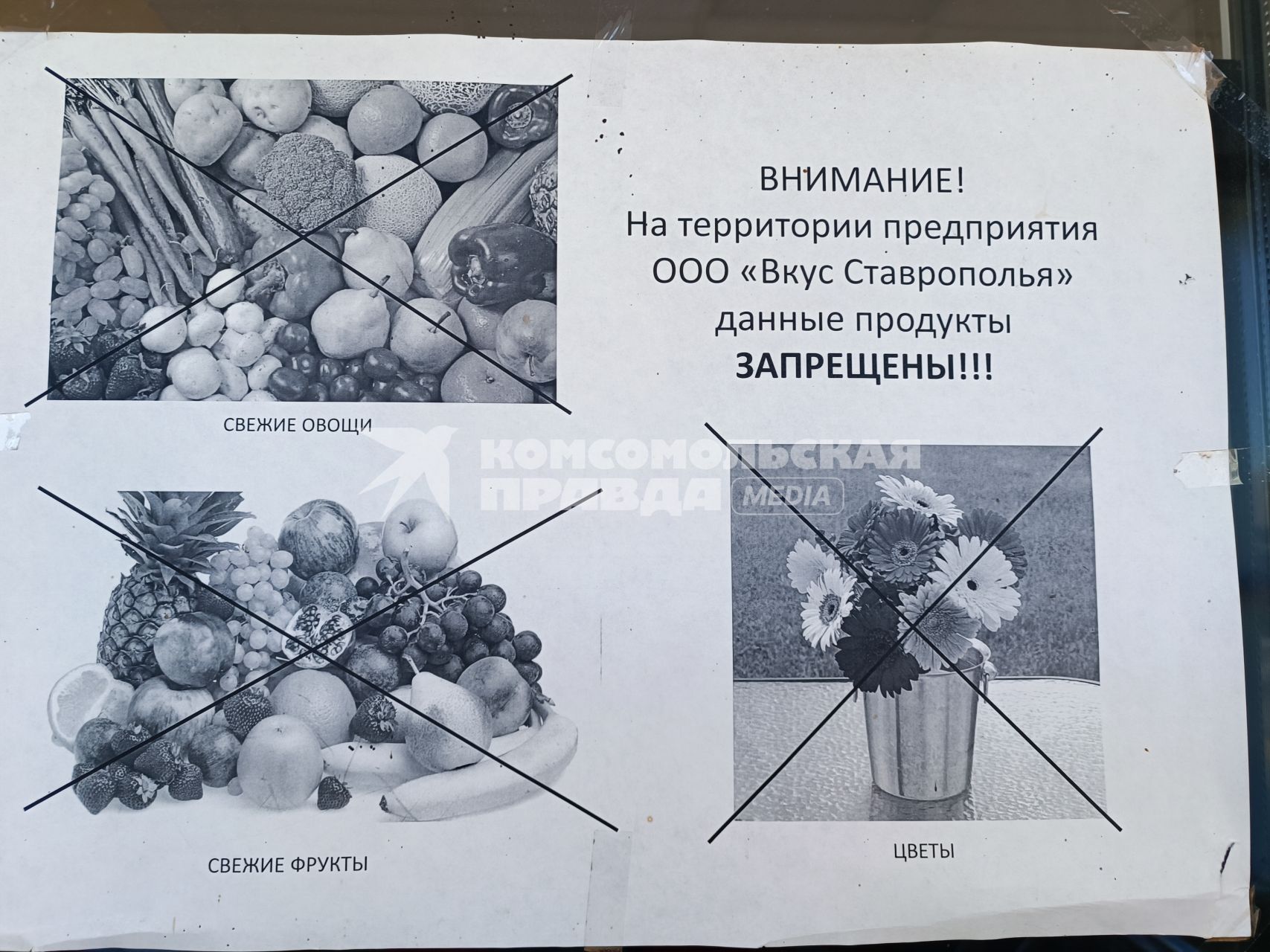Выращивание клубники в тепличном комбинате Вкус Ставрополья\"