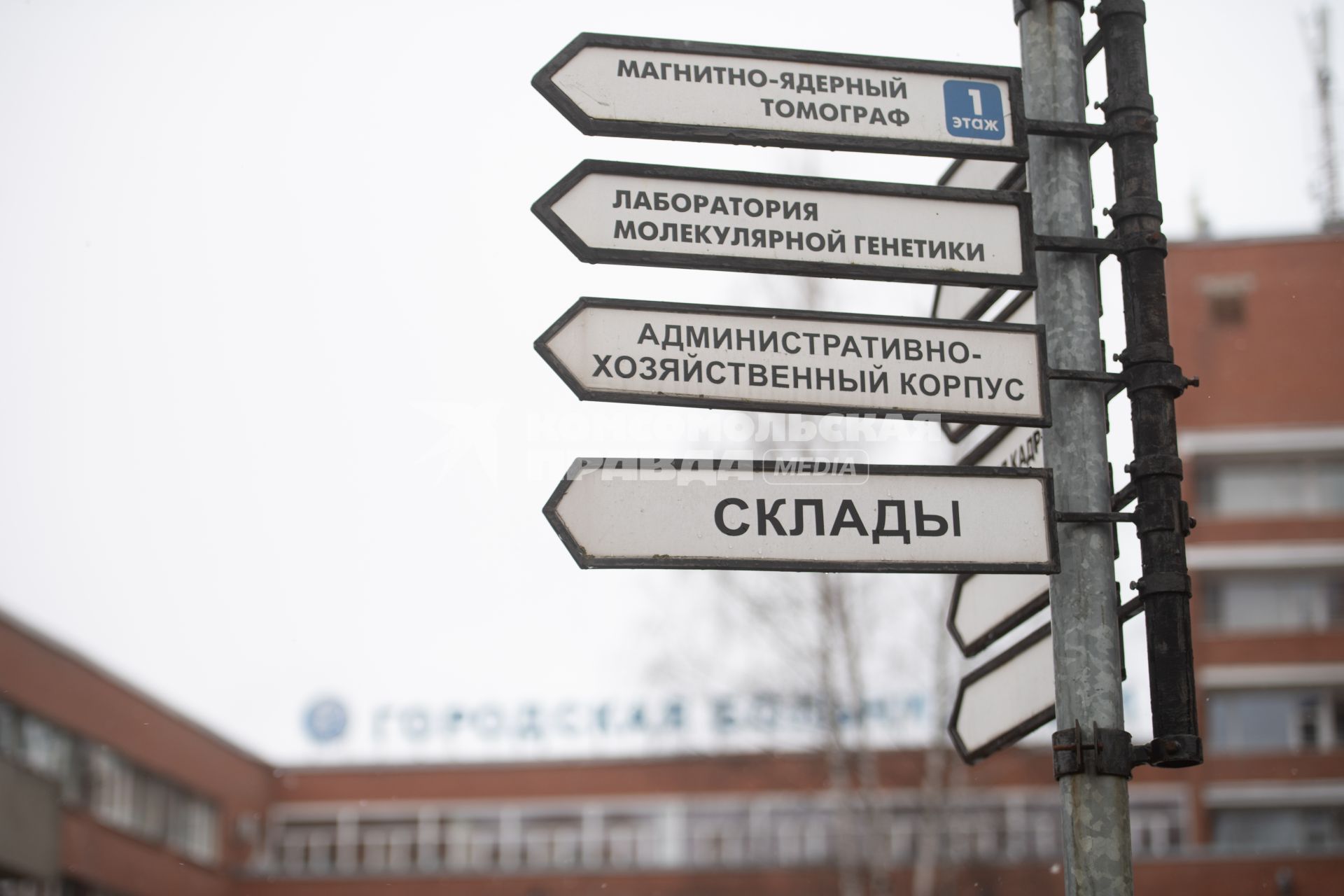 Работа городской клинической больницы №31 в Санкт-Петербурге
