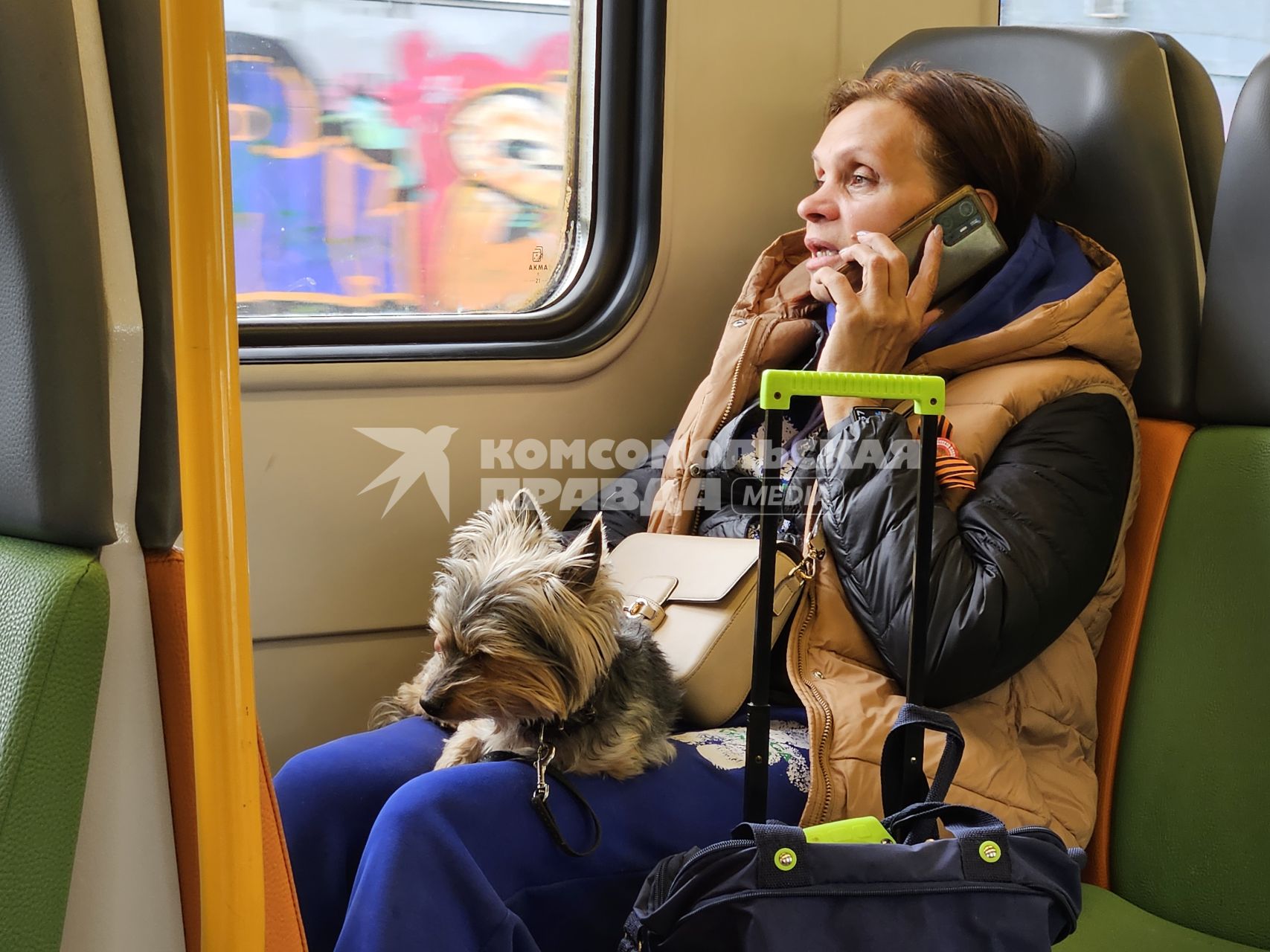 Женщина в электричке
