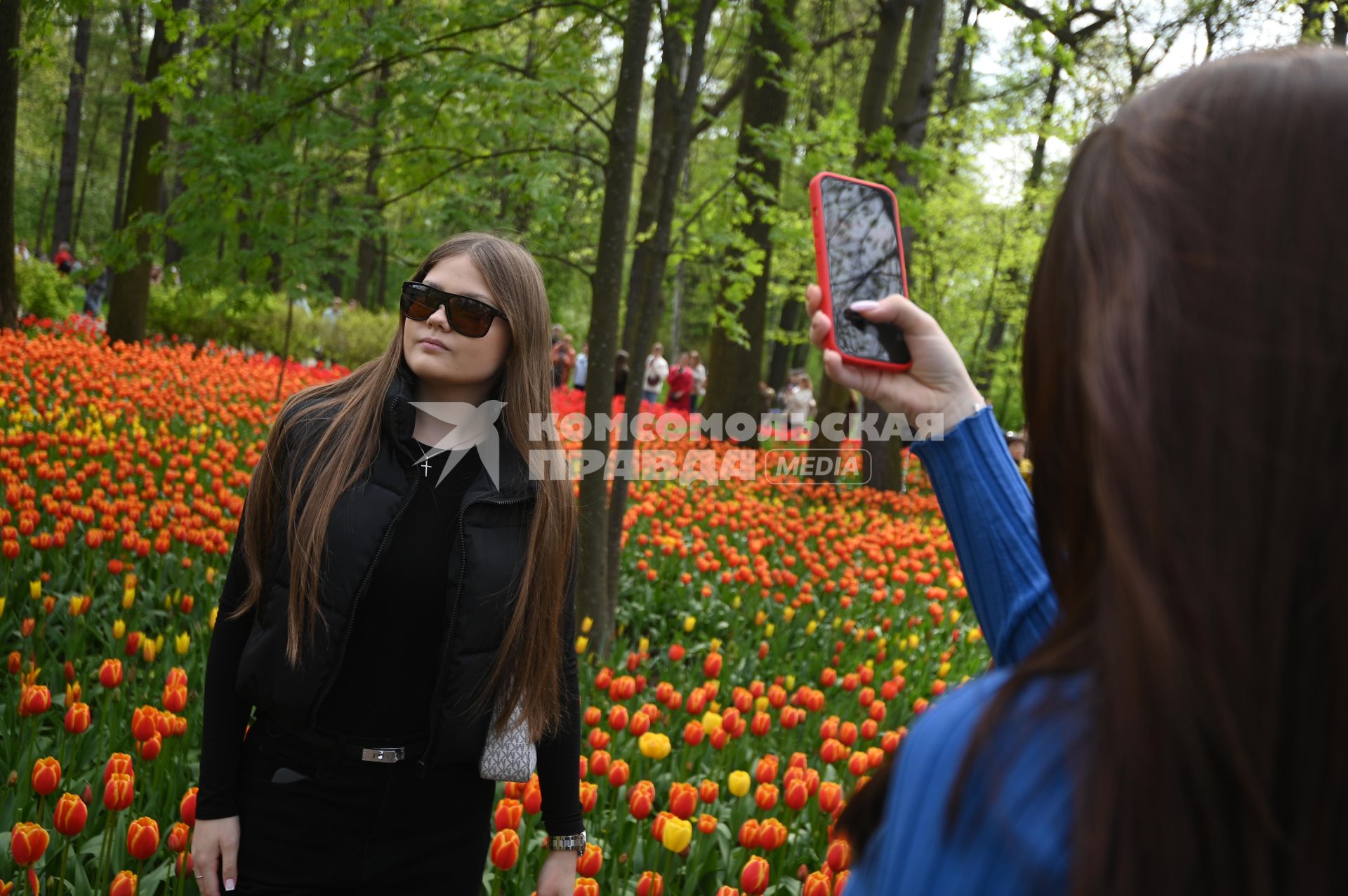 Фестиваль тюльпанов в Санкт-Петербурге