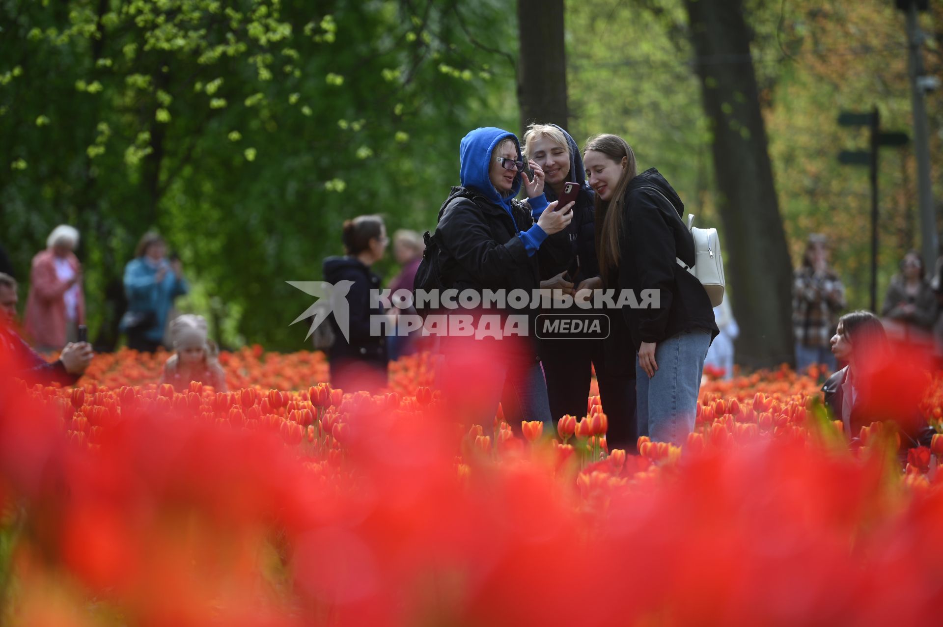 Фестиваль тюльпанов в Санкт-Петербурге