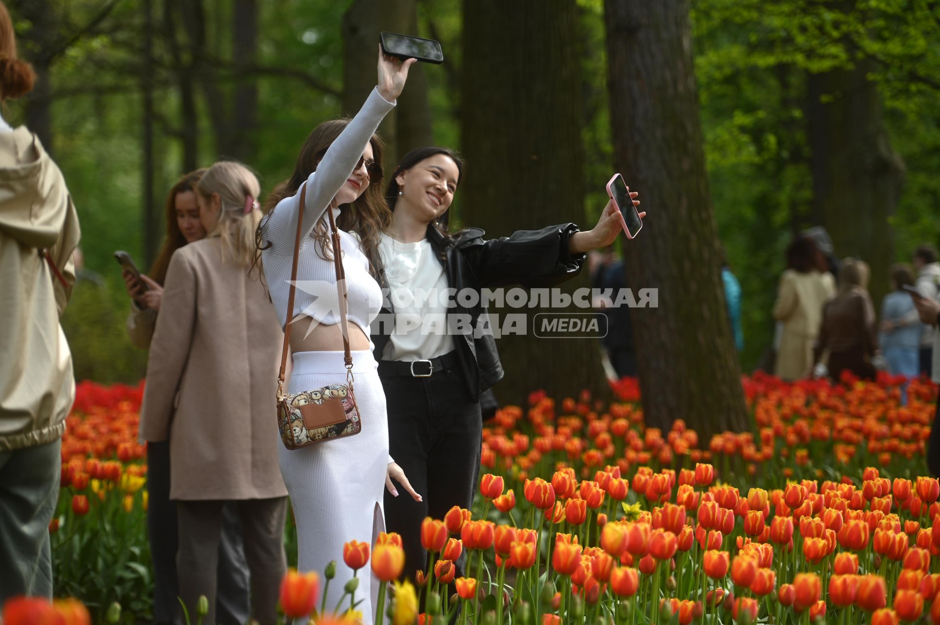 Фестиваль тюльпанов в Санкт-Петербурге