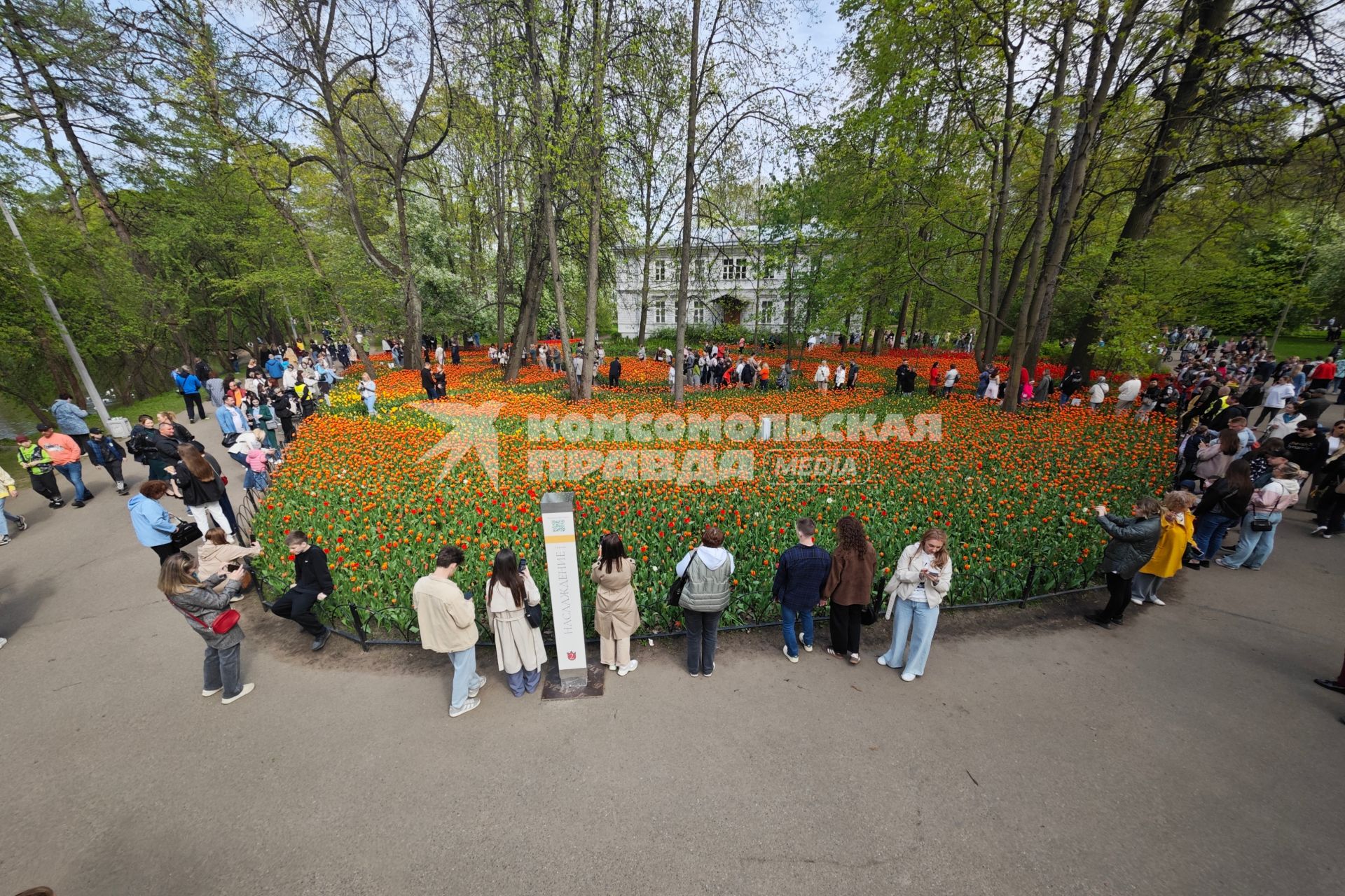 Фестиваль тюльпанов в Санкт-Петербурге