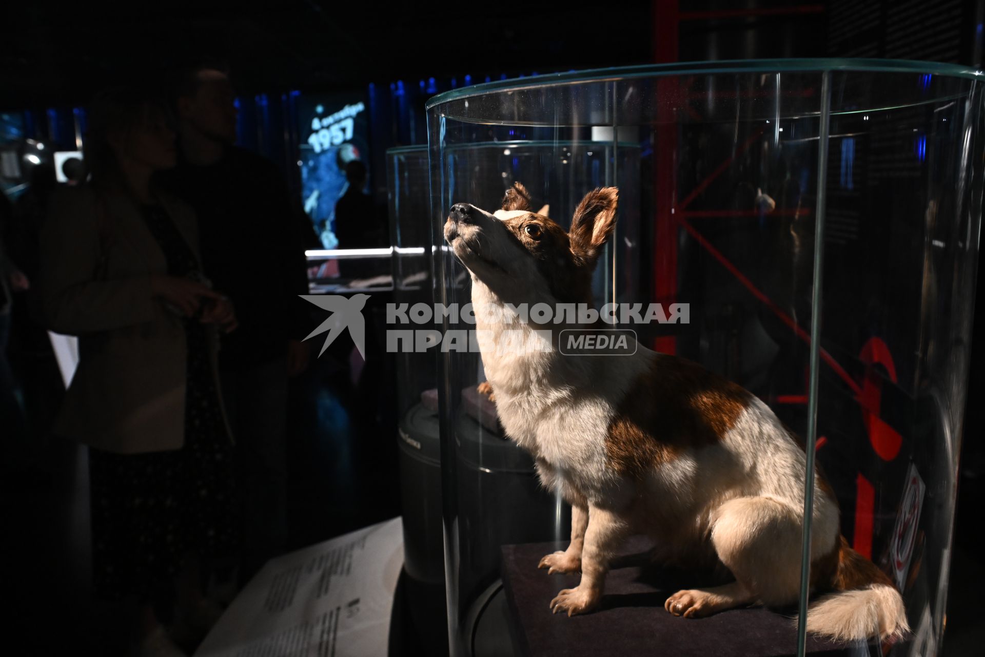 Акция Ночь музеев\" в музее космонавти