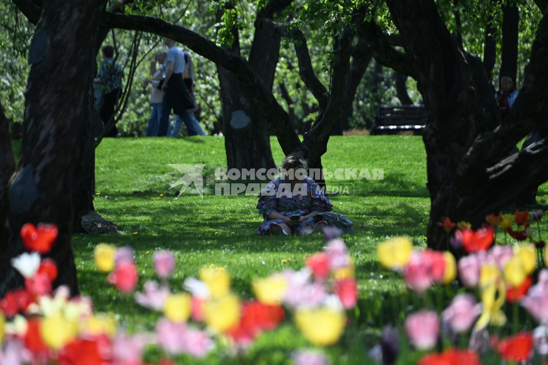 Цветение в парке Коломенское