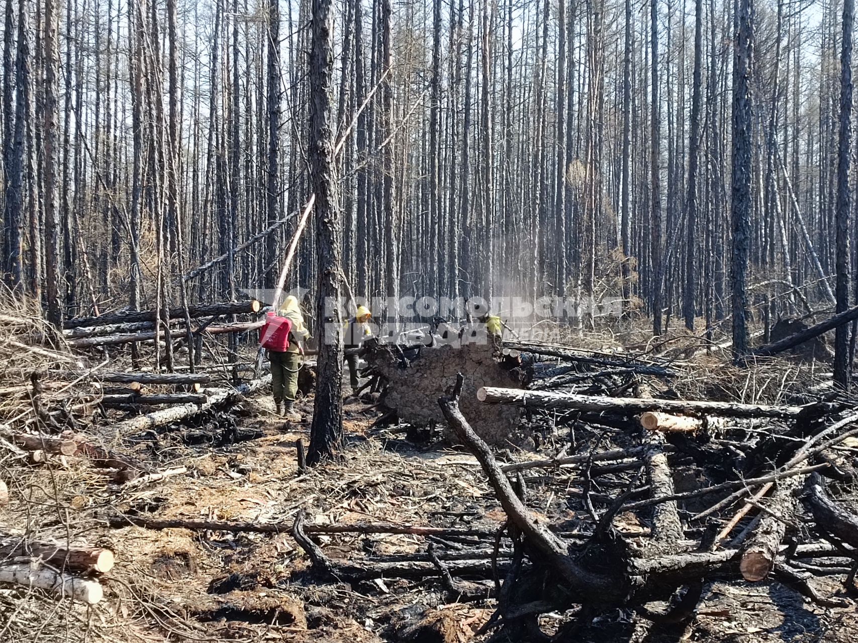 Лесные пожары в Забайкалье