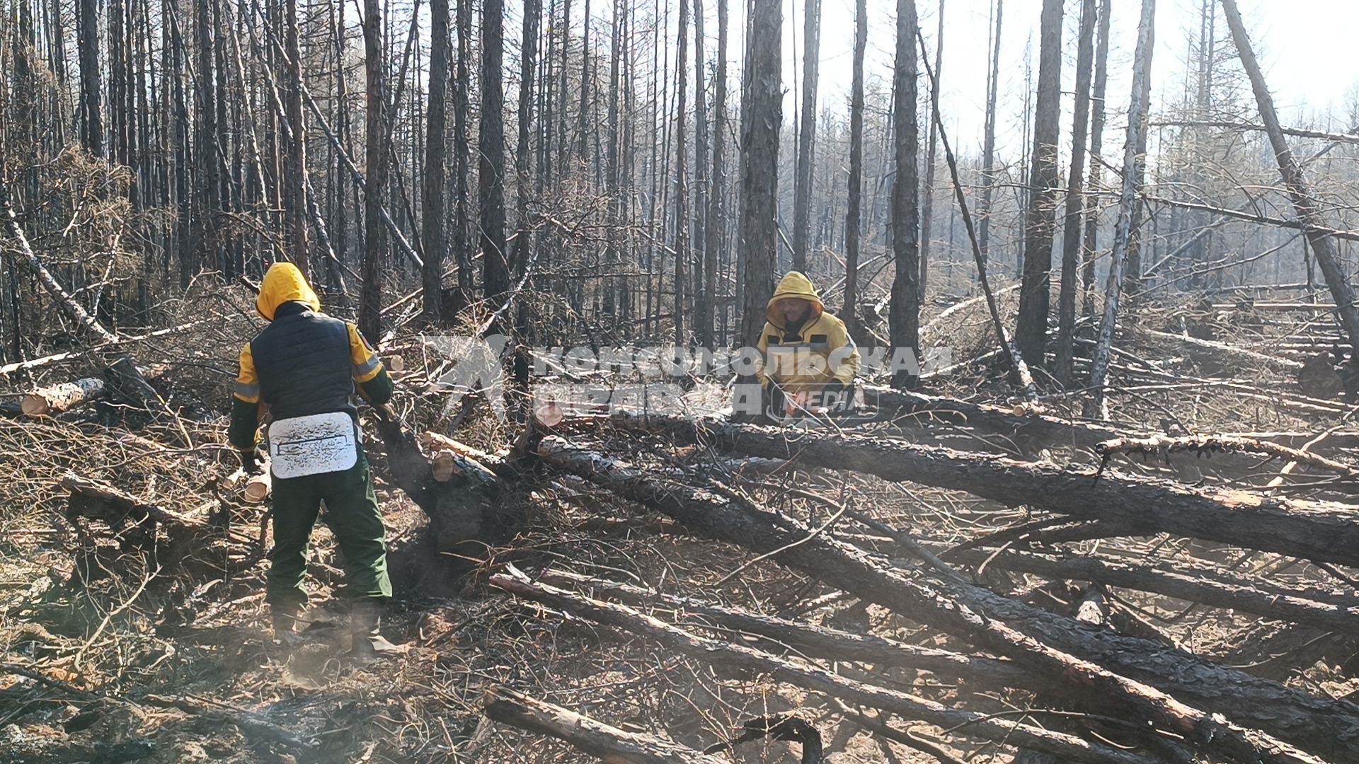 Лесные пожары в Забайкалье