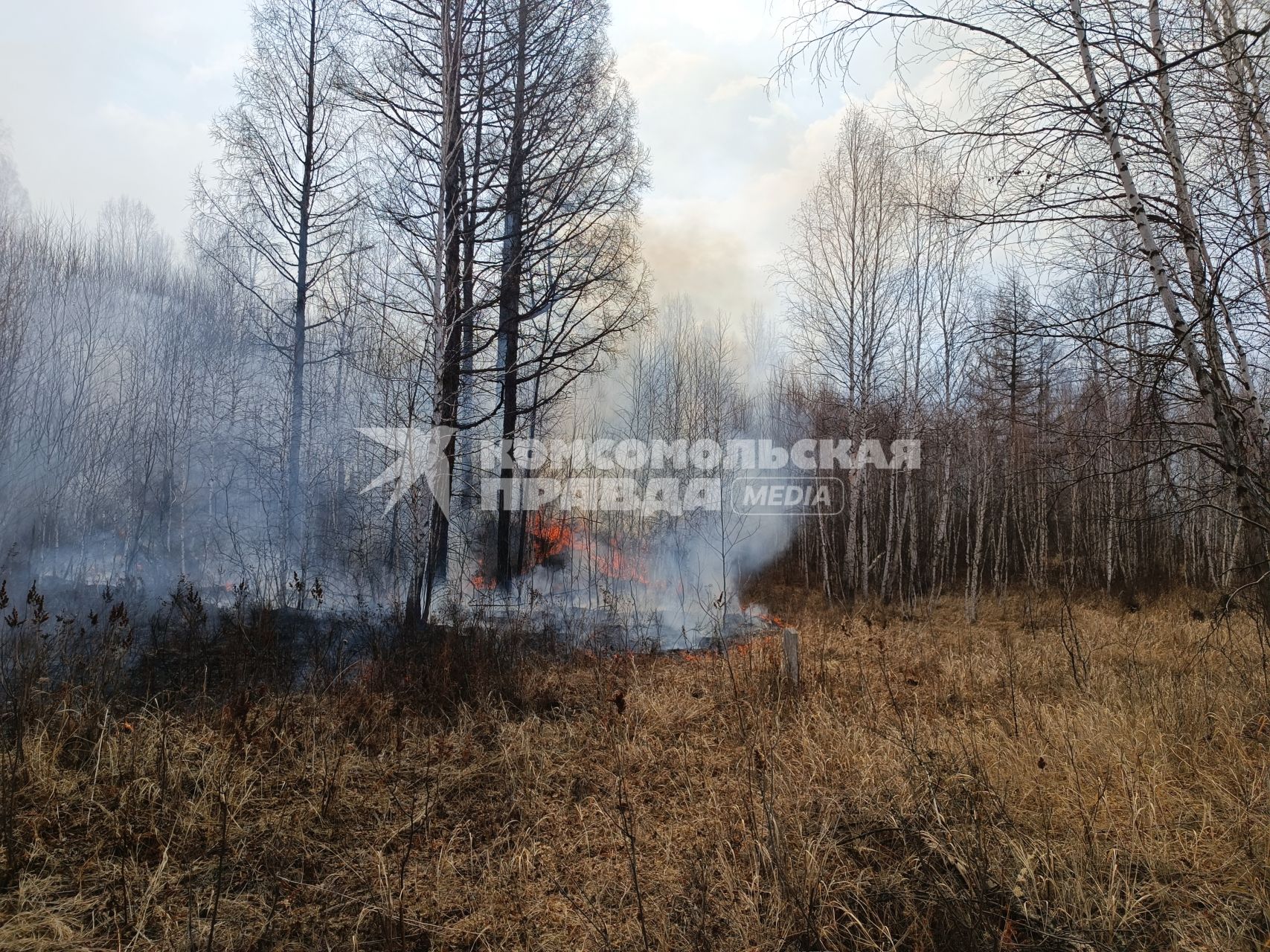Лесные пожары в Забайкалье
