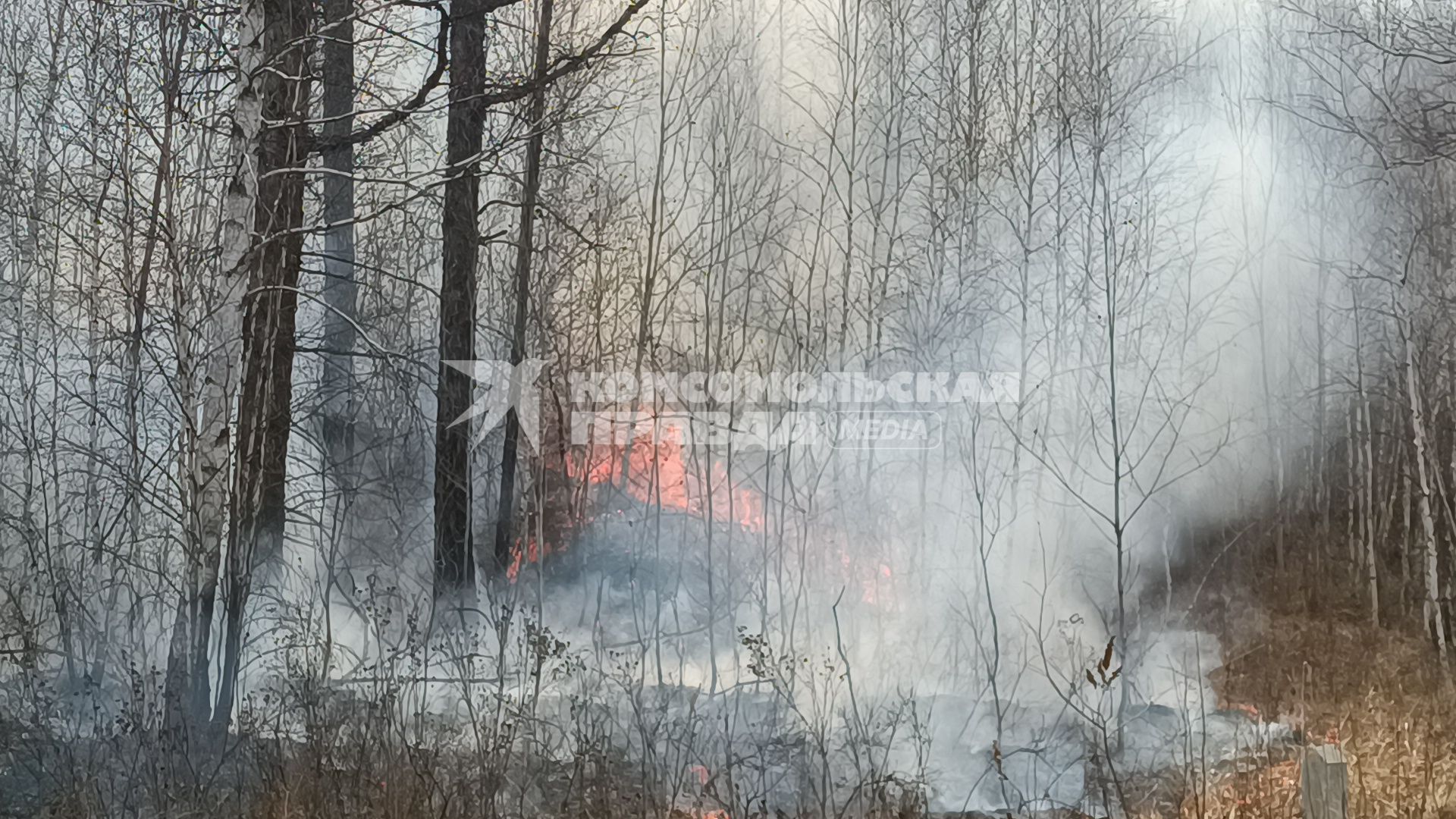Лесные пожары в Забайкалье