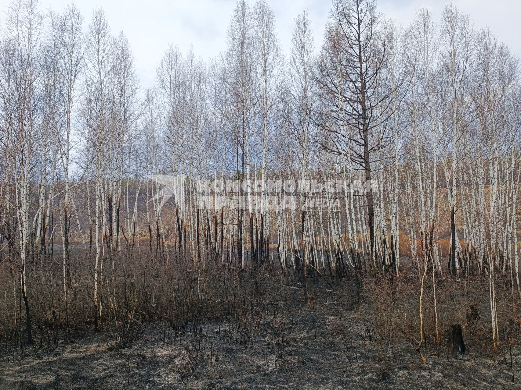 Лесные пожары в Забайкалье