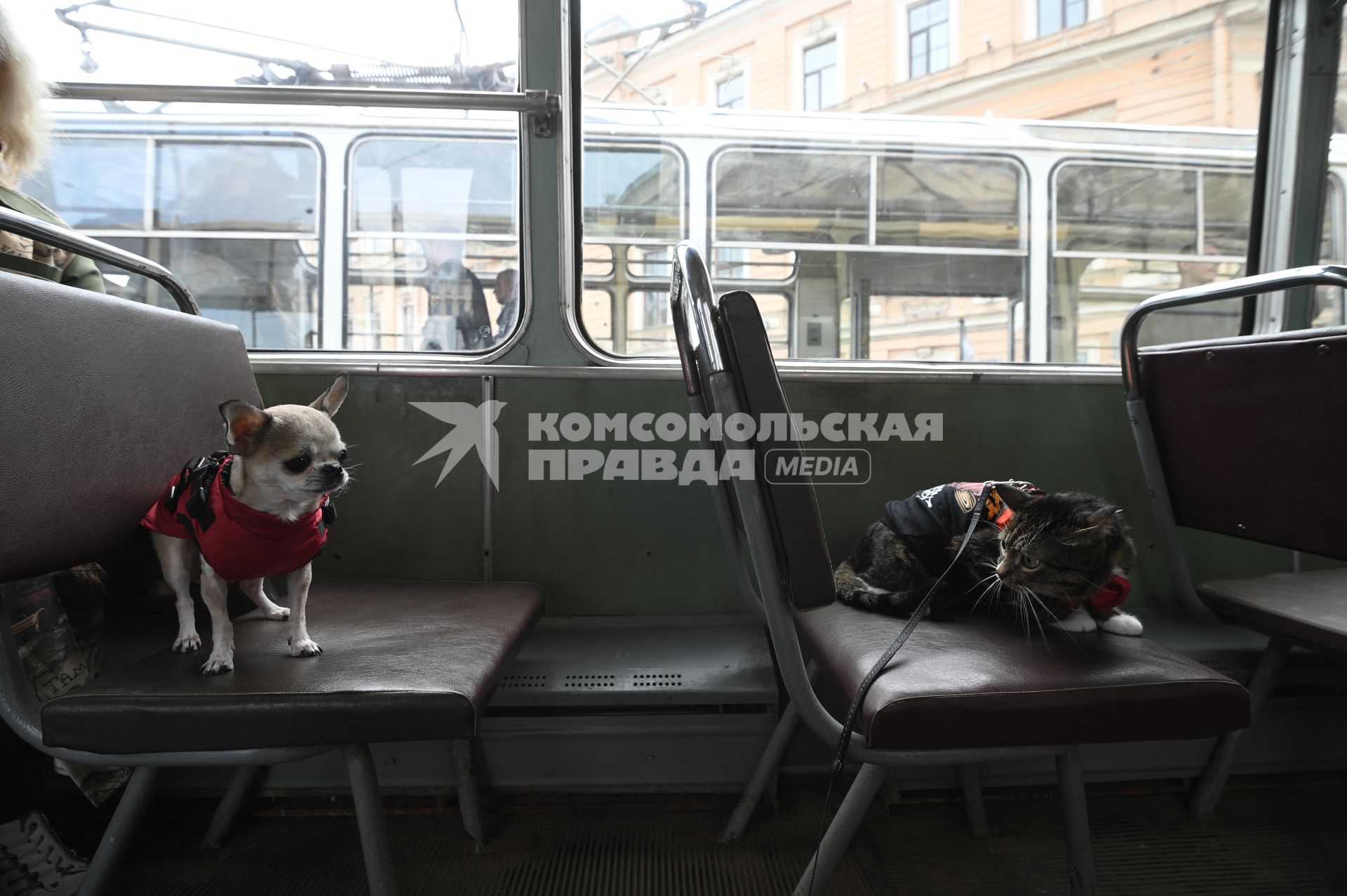 Выставка автомобильной ретротехники во время транспортного фестиваля ТранспортФест в Петербурге