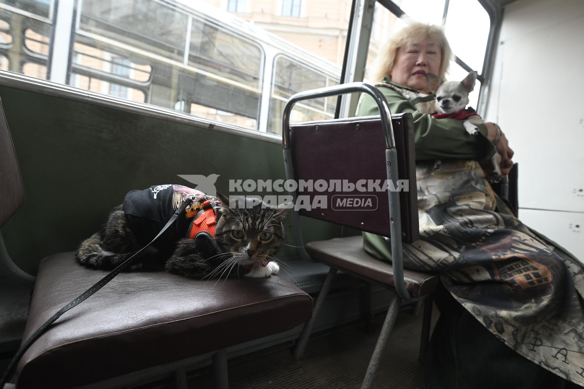 Выставка автомобильной ретротехники во время транспортного фестиваля ТранспортФест в Петербурге
