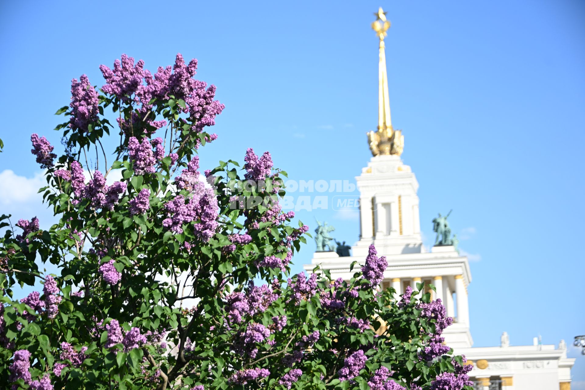 Прогулка на ВДНХ