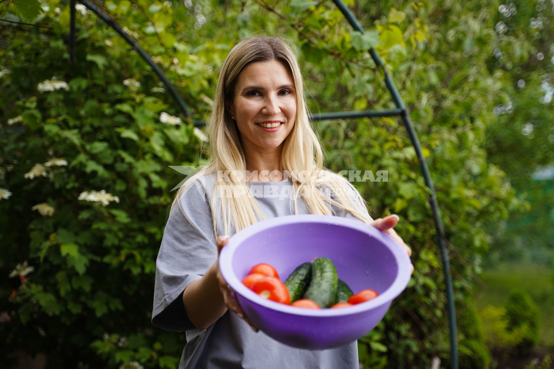 Шашлыки на даче