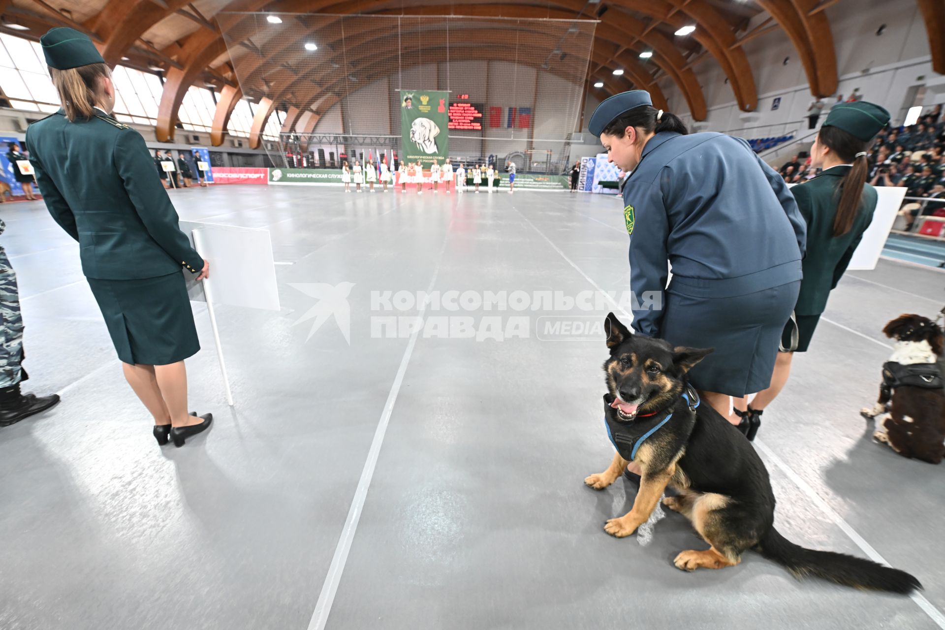 Всероссийский чемпионат среди кинологов таможенных органов в Щелково