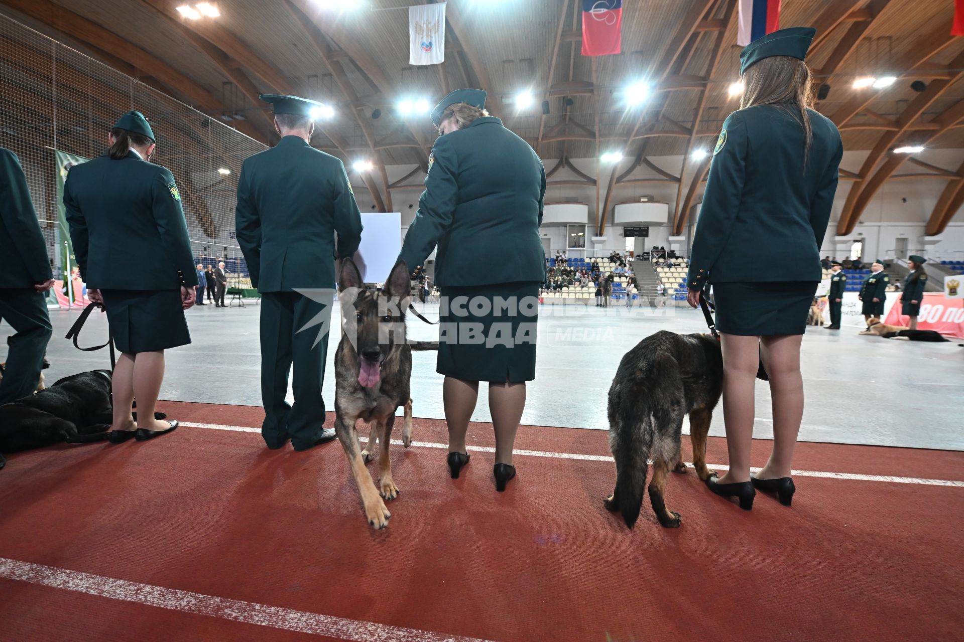 Всероссийский чемпионат среди кинологов таможенных органов в Щелково