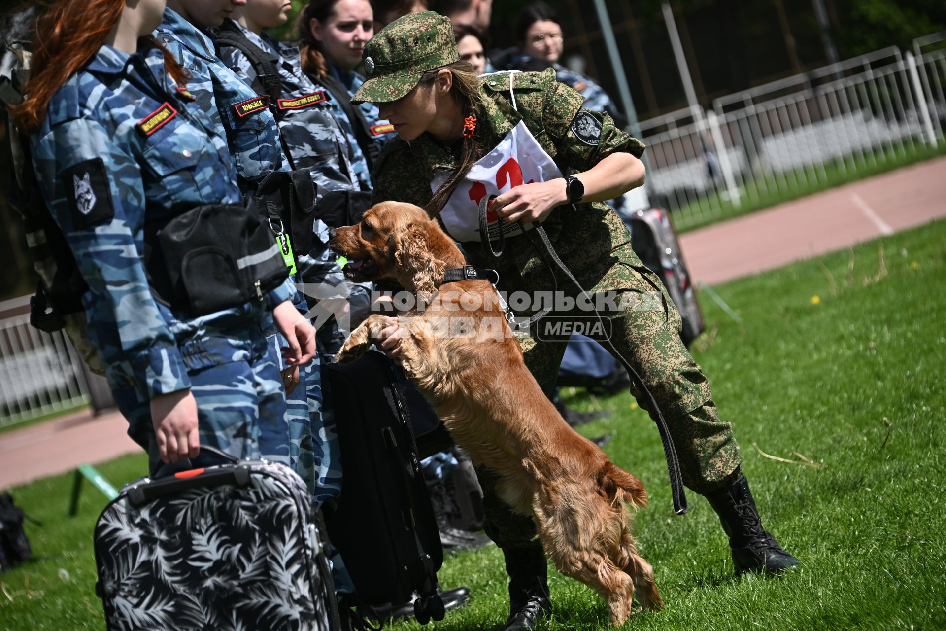 Всероссийский чемпионат среди кинологов таможенных органов в Щелково