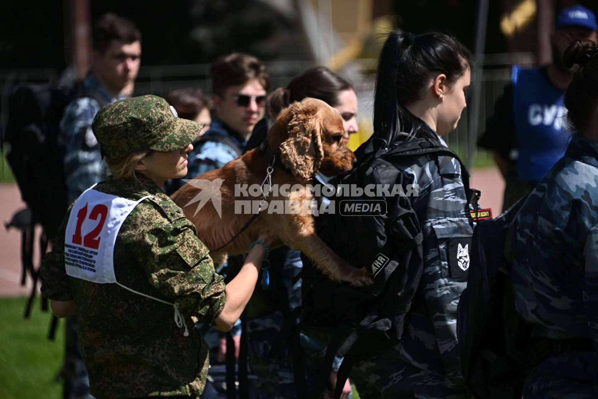 Всероссийский чемпионат среди кинологов таможенных органов в Щелково